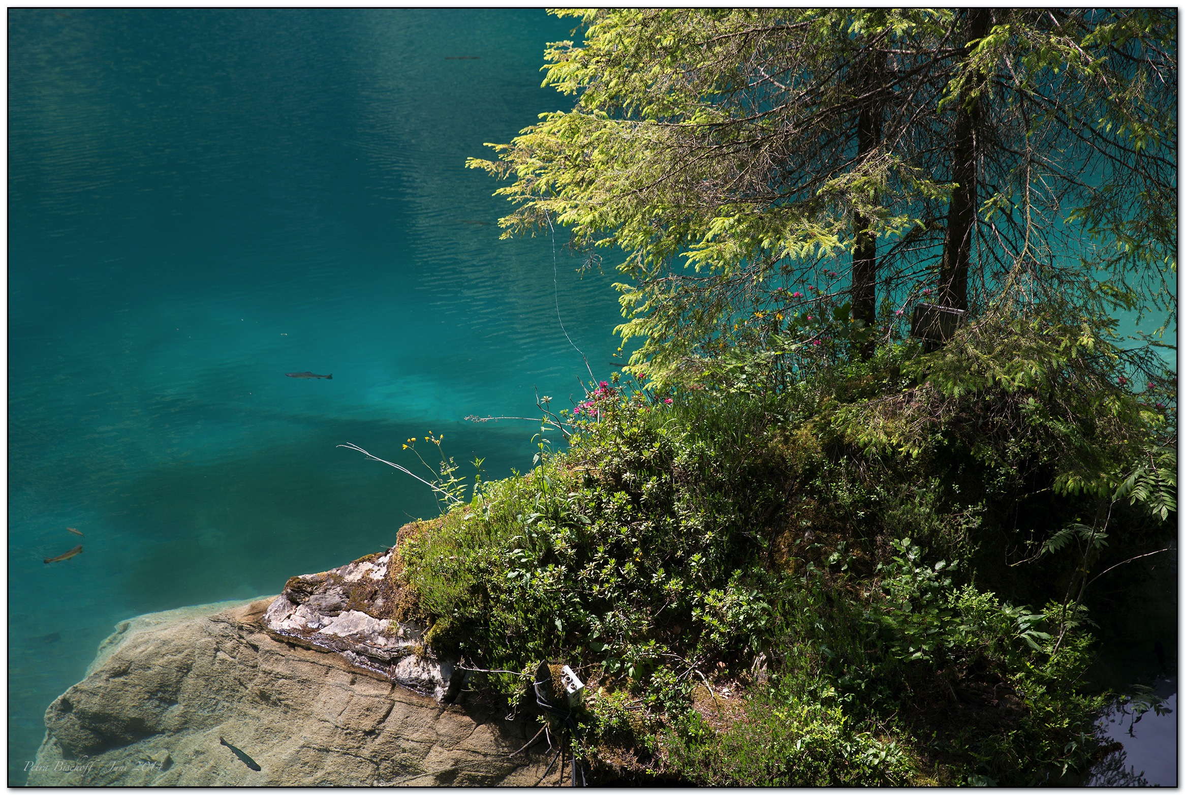 &copy; Petra Bischoff