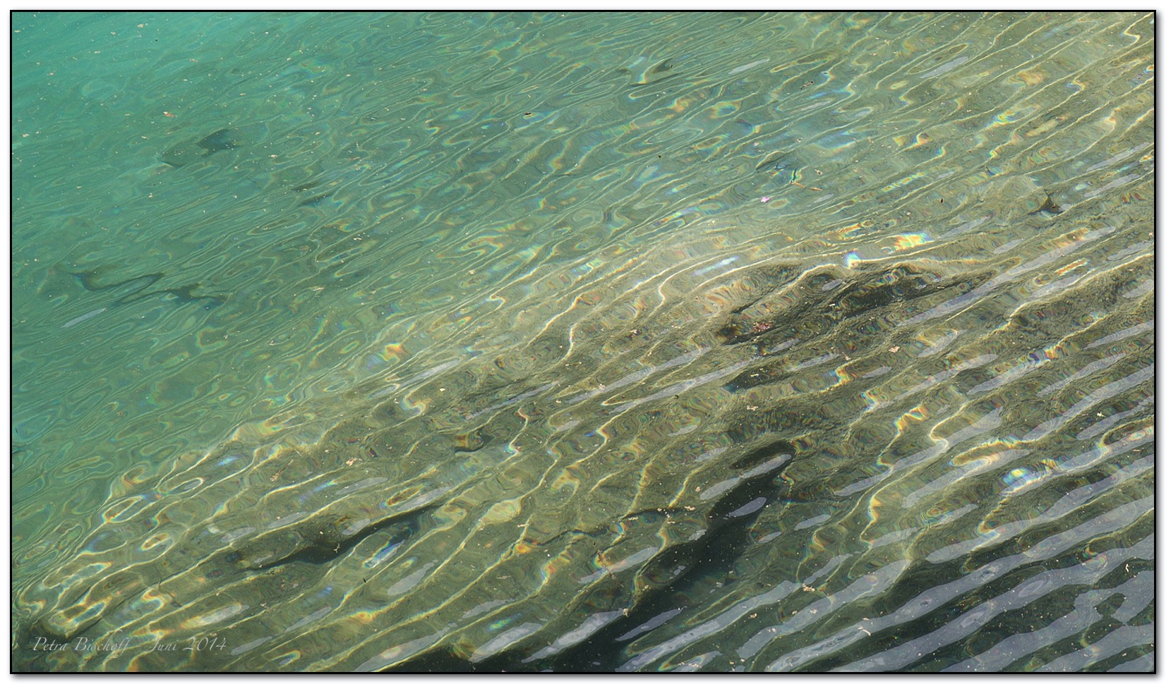 &copy; Petra Bischoff