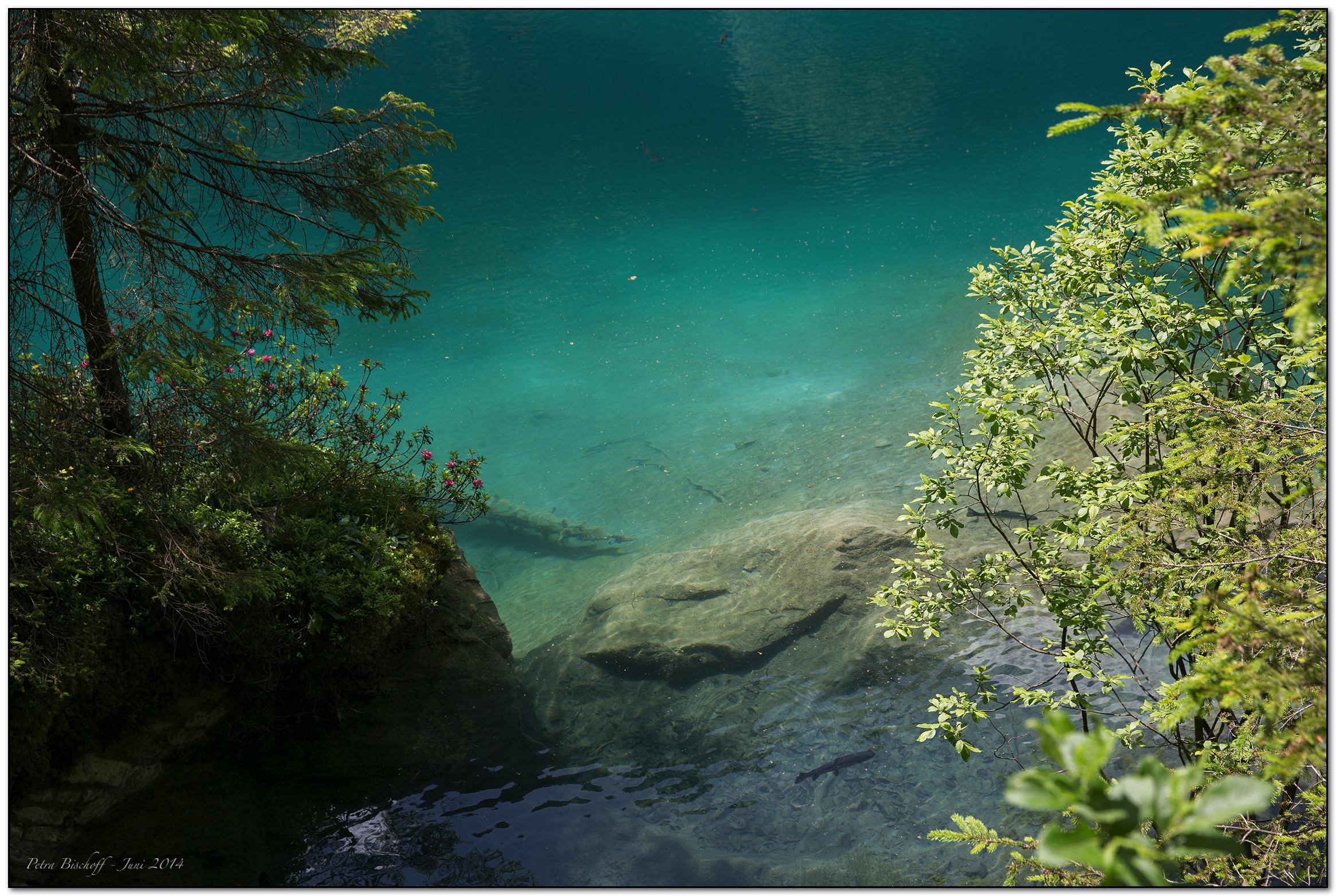 &copy; Petra Bischoff