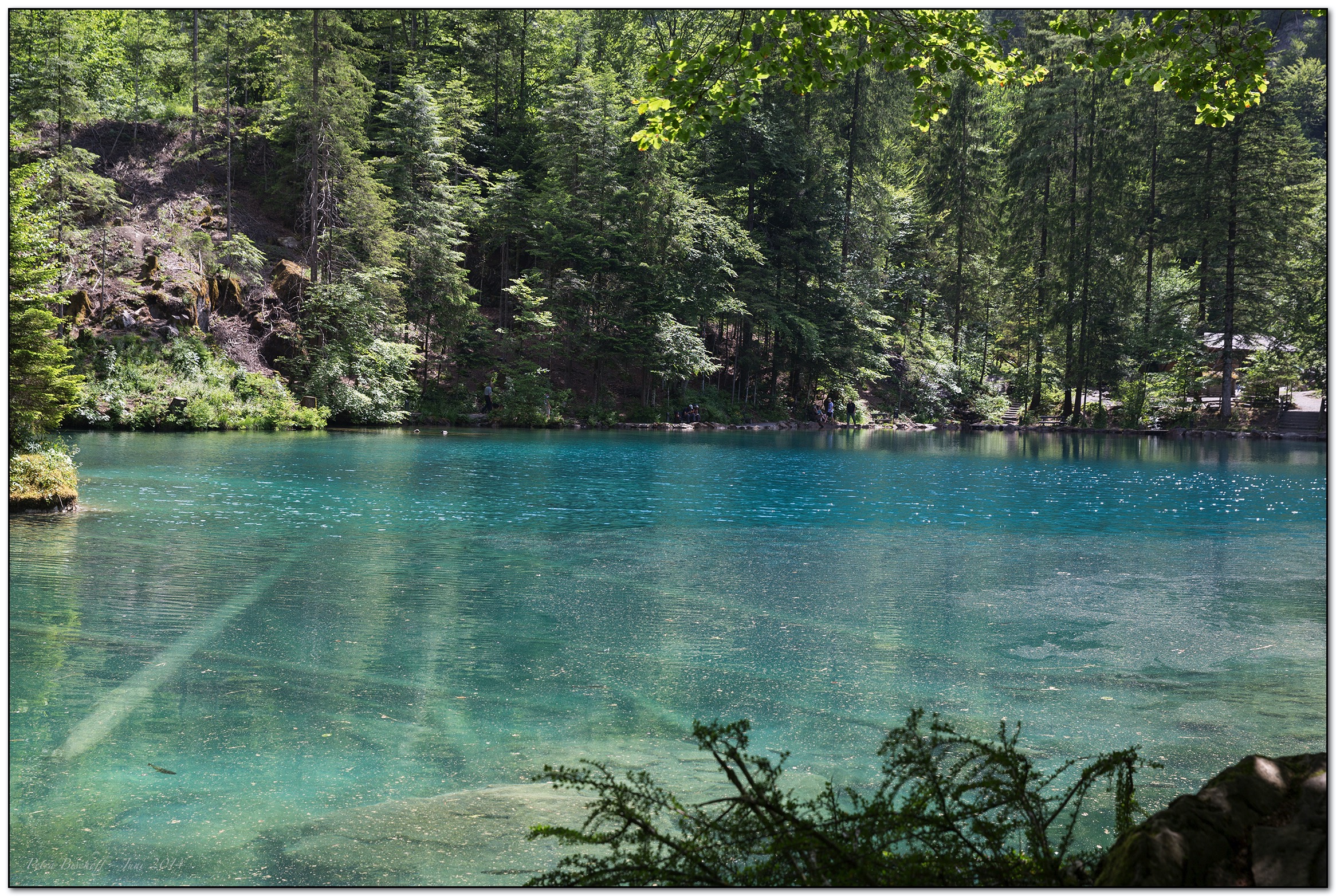 &copy; Petra Bischoff