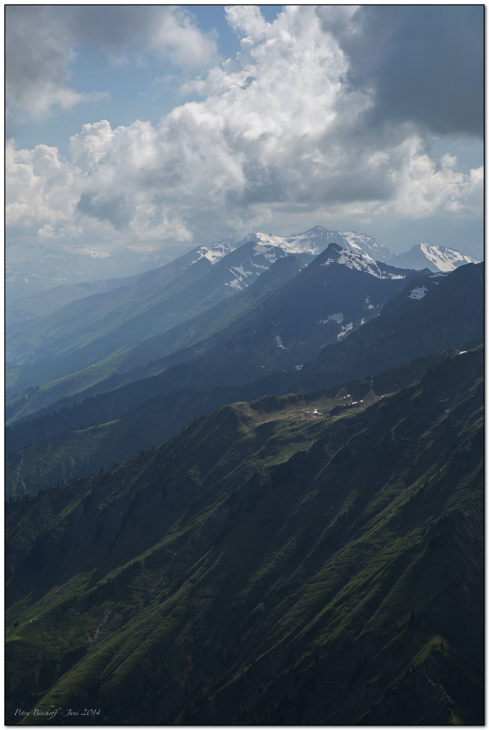 &copy; Petra Bischoff