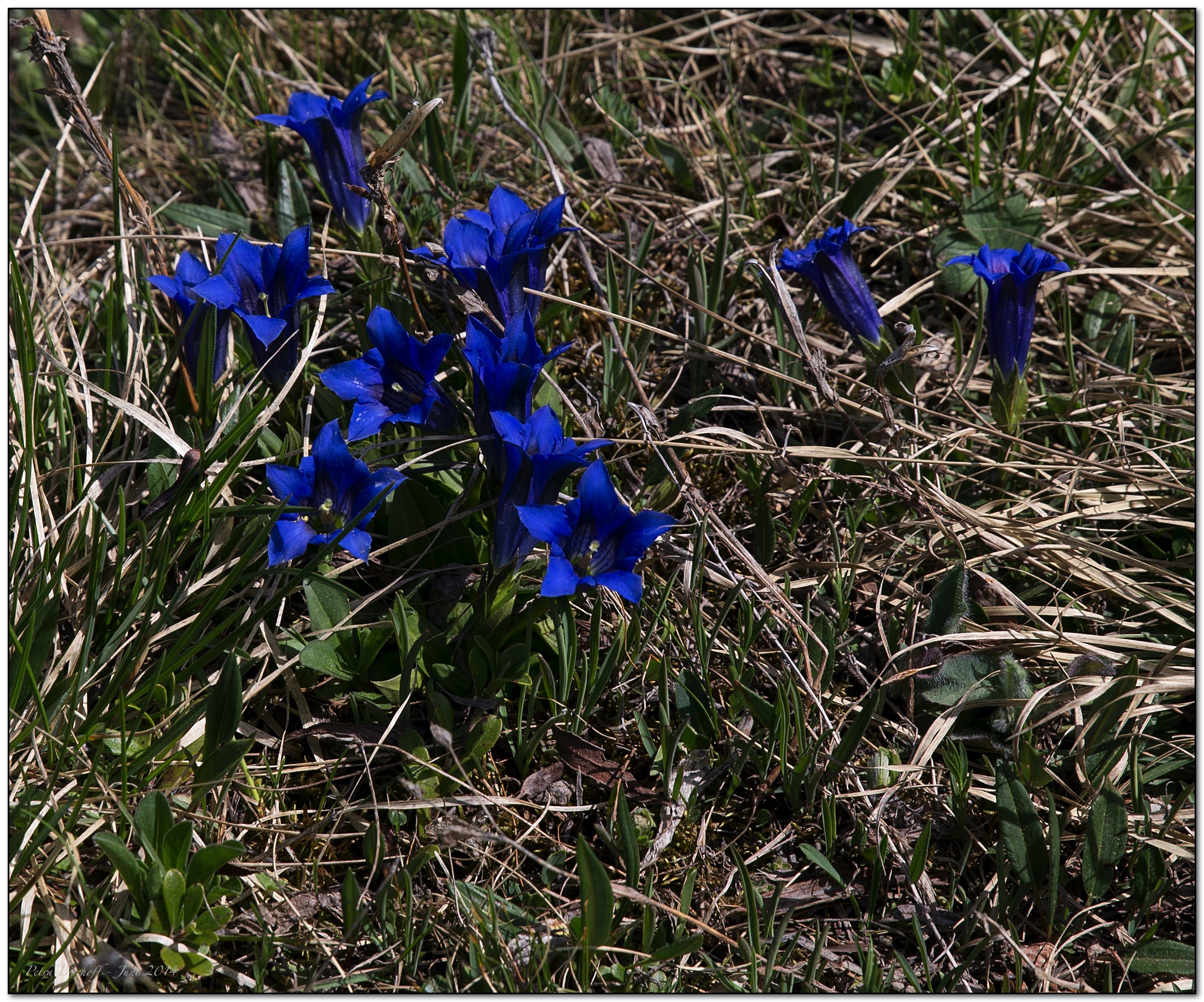 &copy; Petra Bischoff