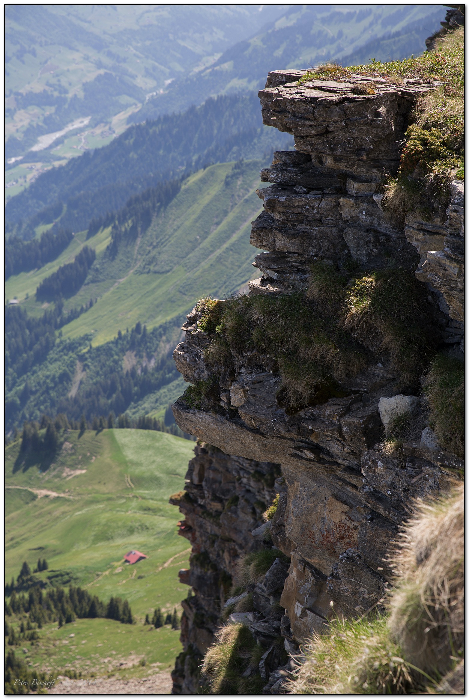 &copy; Petra Bischoff