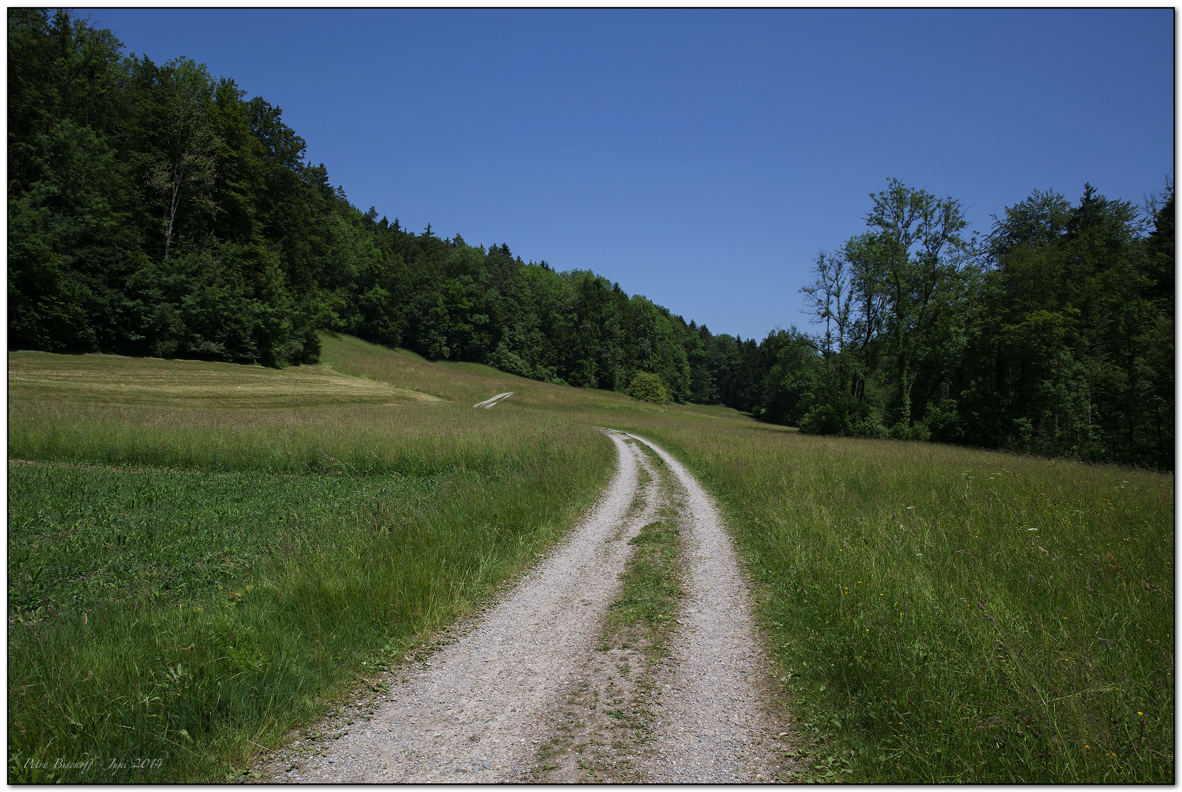 &copy; Petra Bischoff