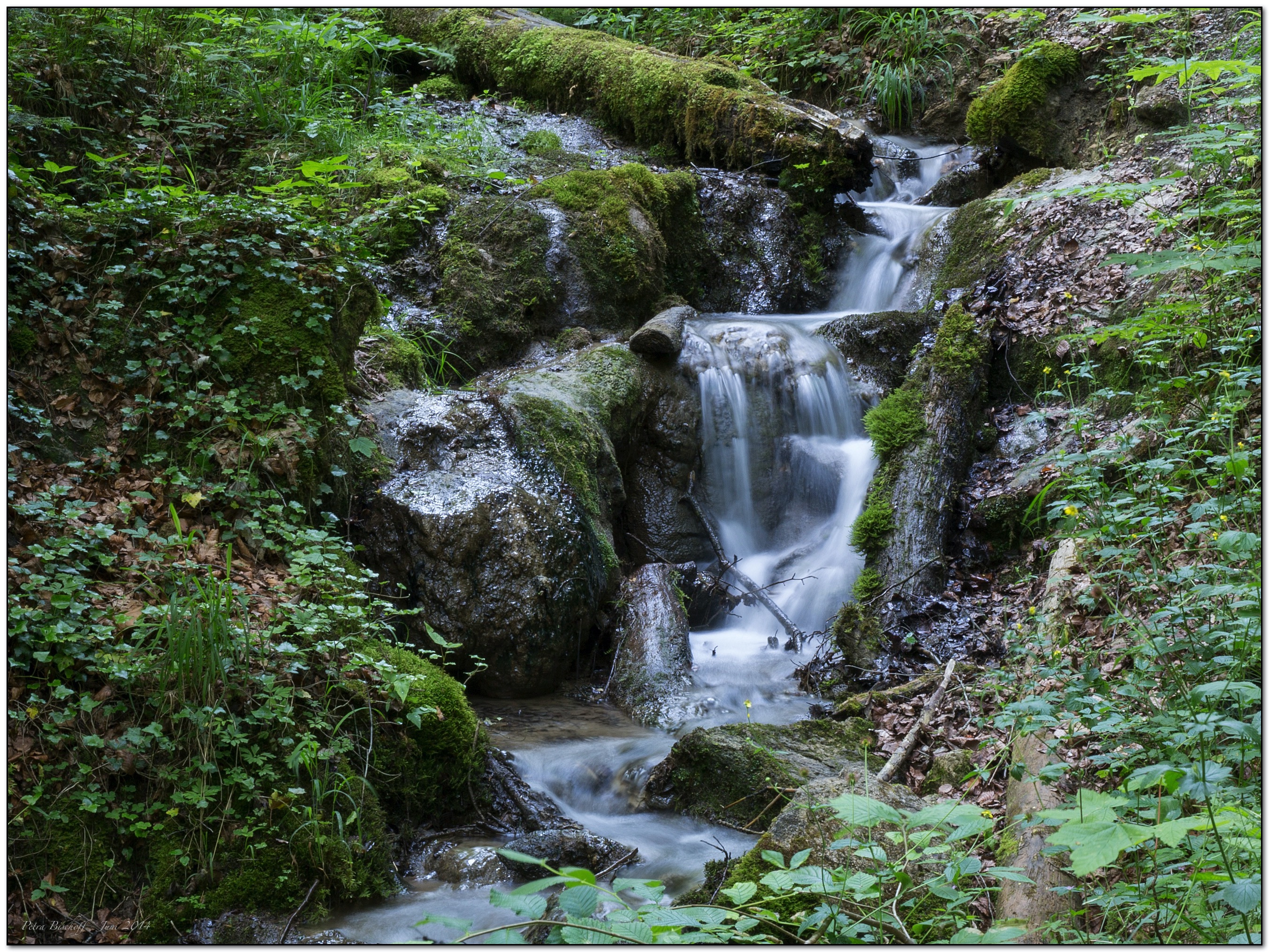 &copy; Petra Bischoff