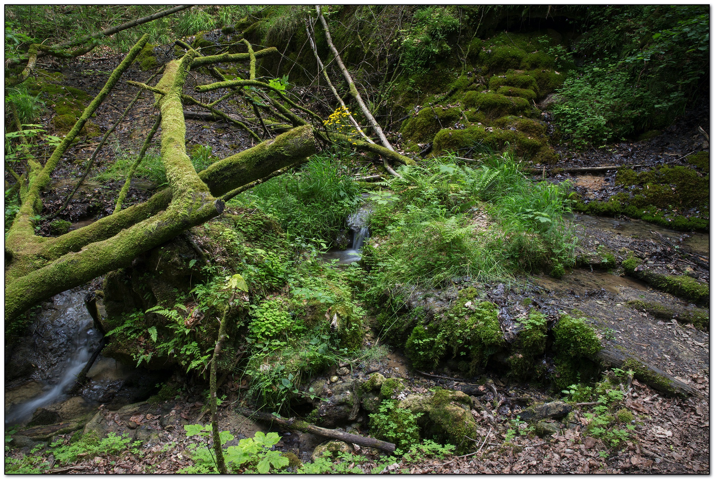 &copy; Petra Bischoff