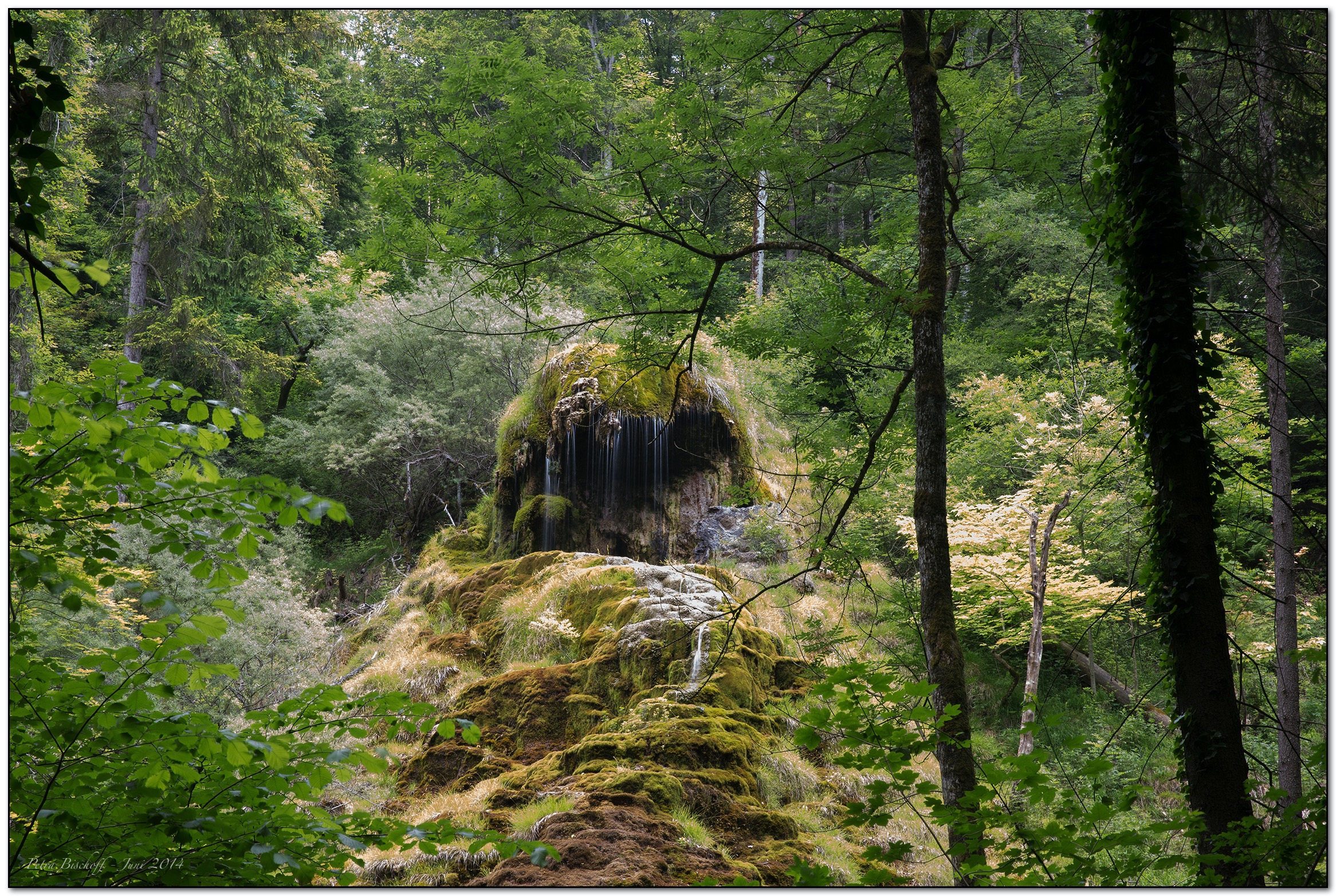 &copy; Petra Bischoff