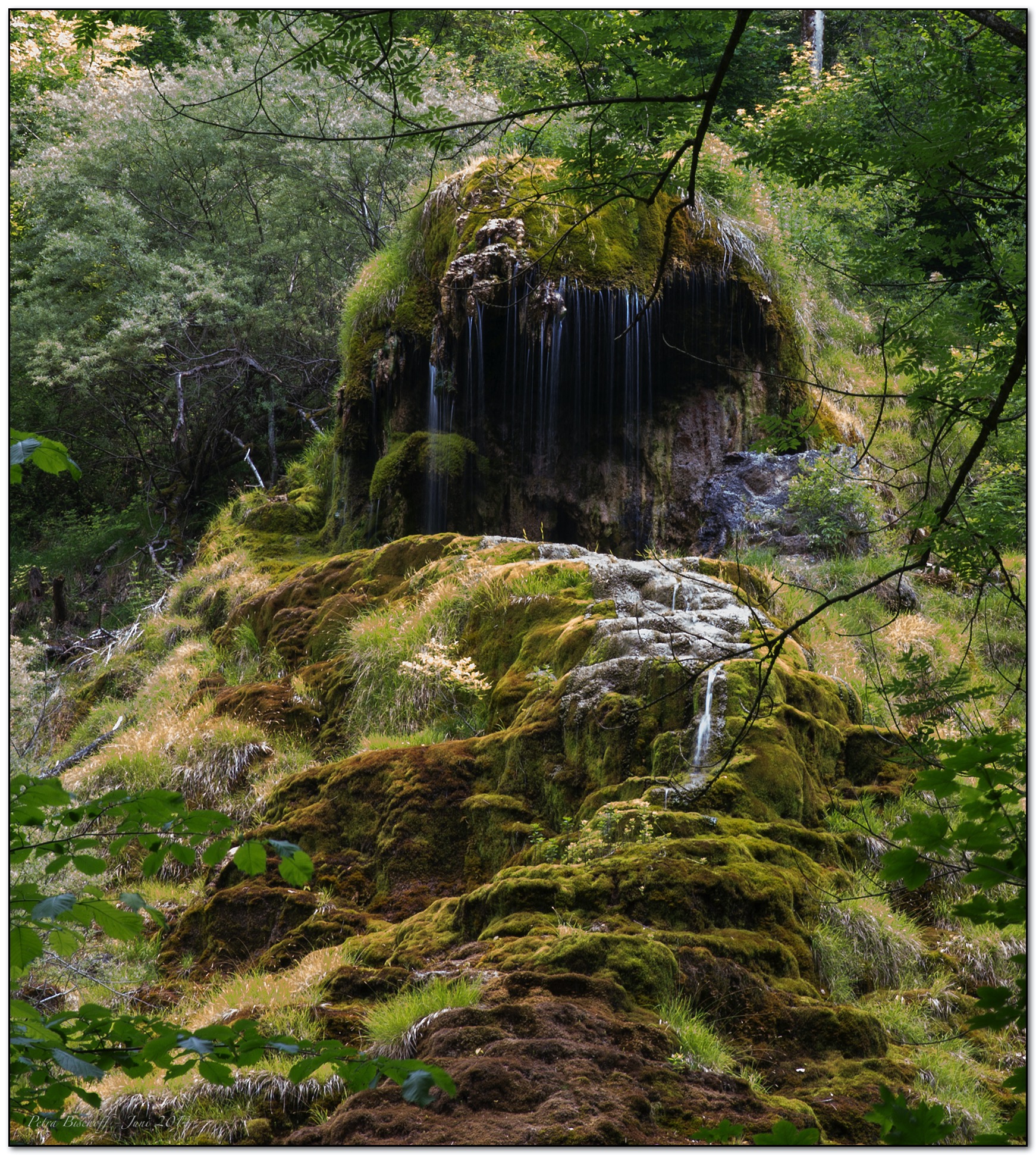 &copy; Petra Bischoff