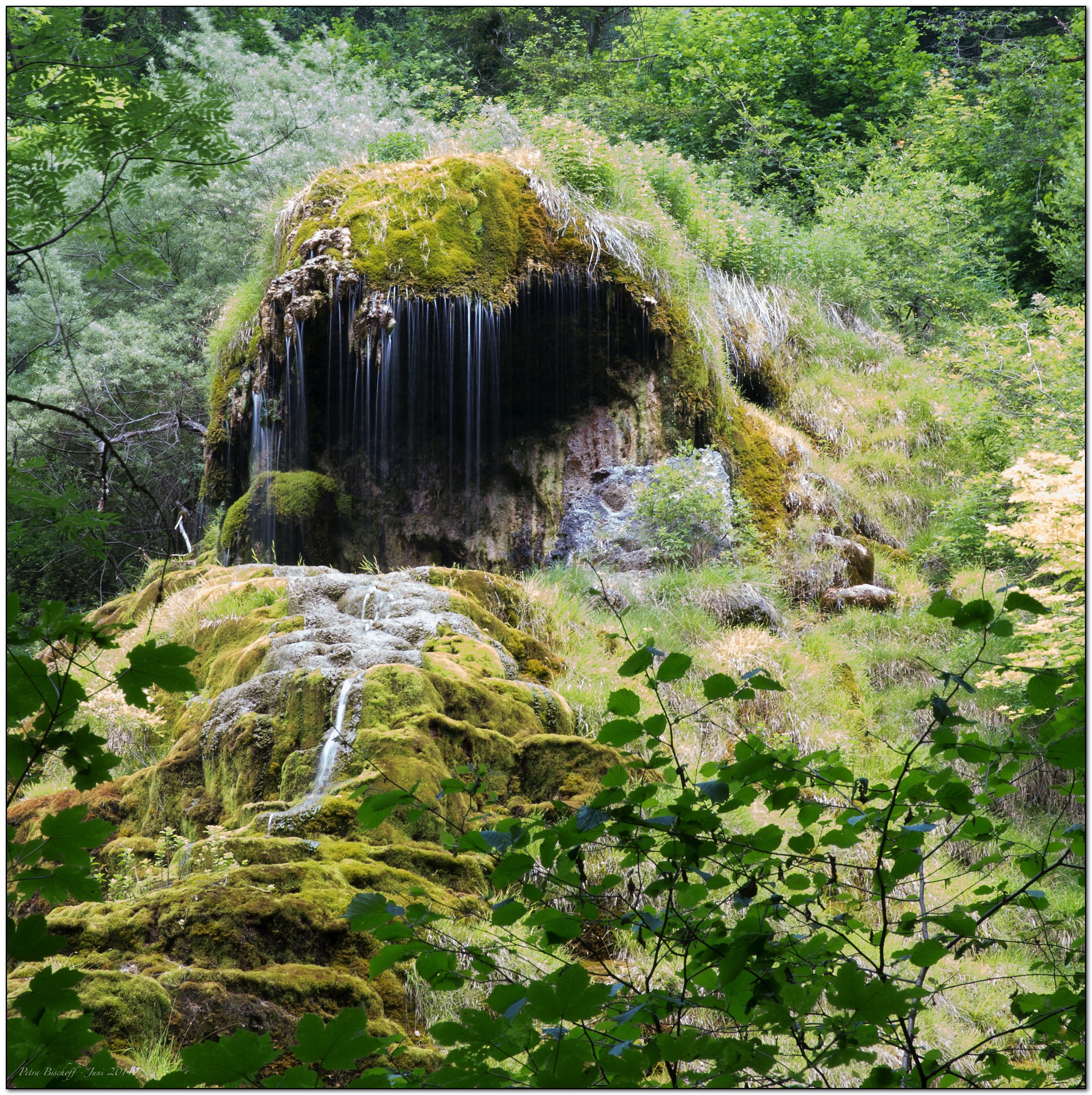 &copy; Petra Bischoff