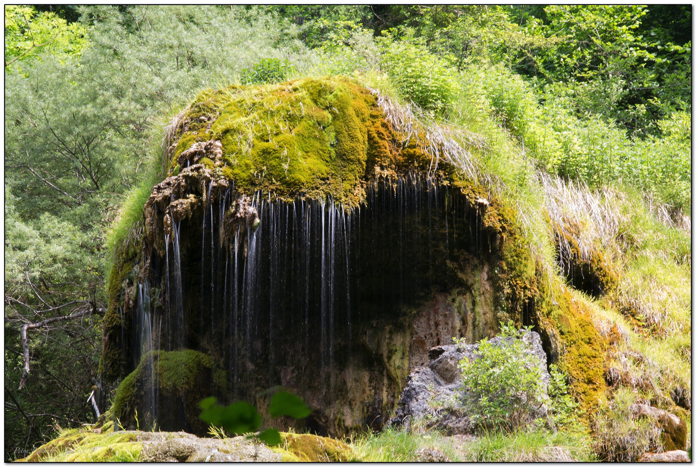 &copy; Petra Bischoff