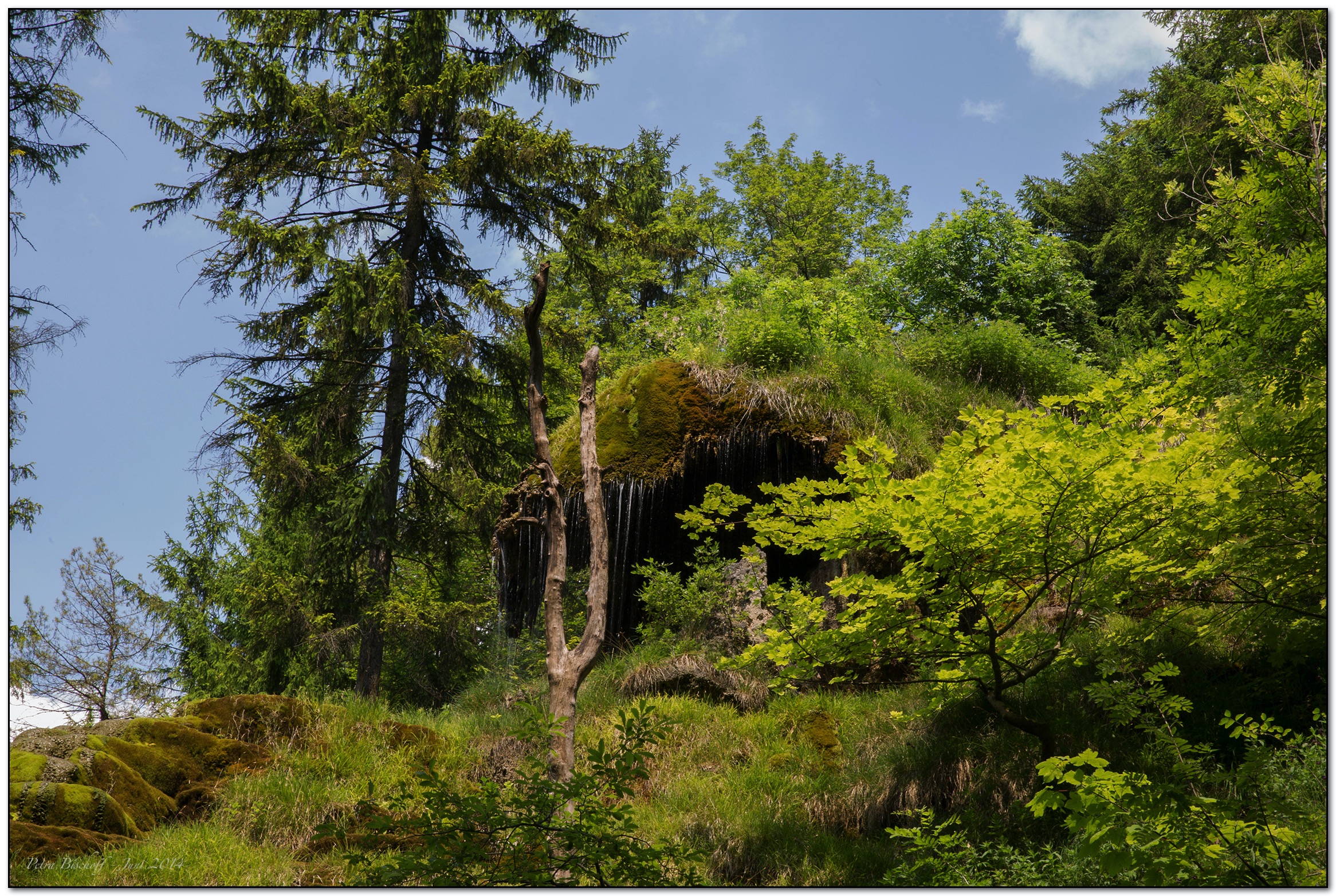 &copy; Petra Bischoff