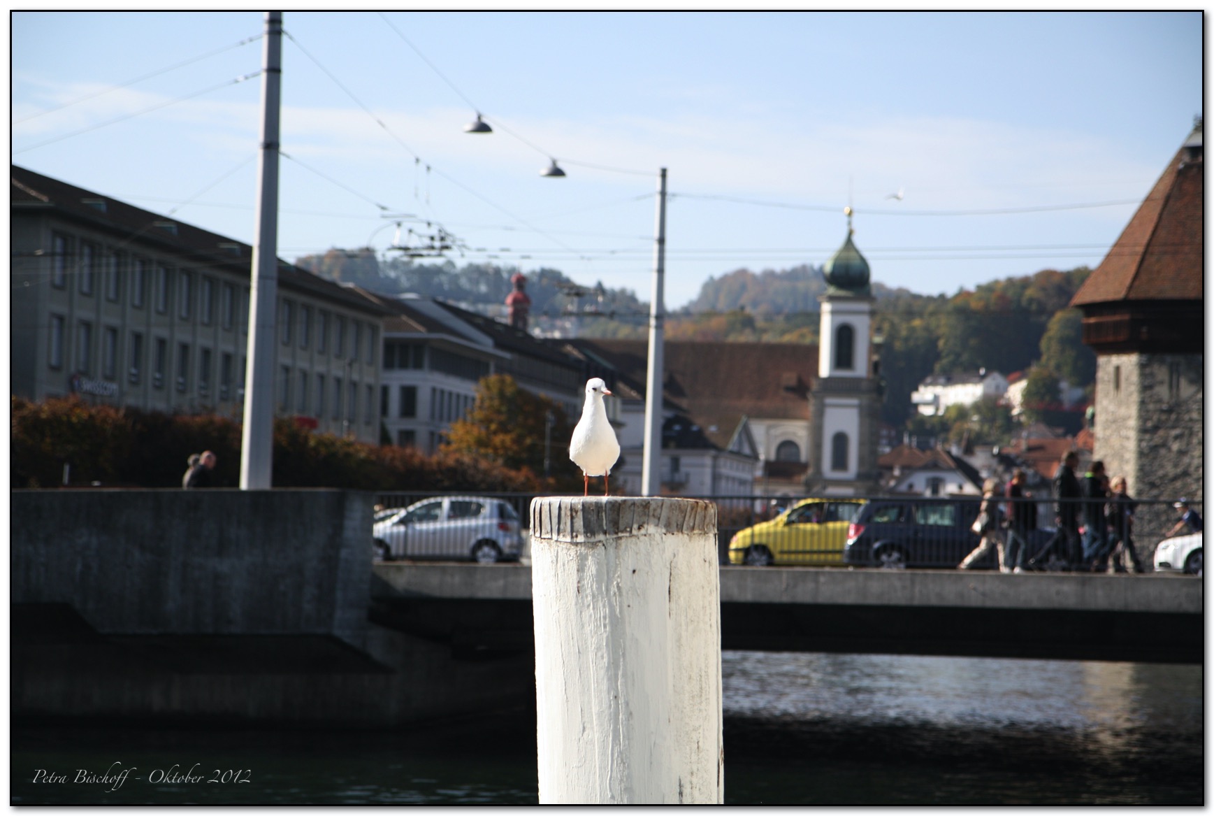 &copy; Petra Bischoff