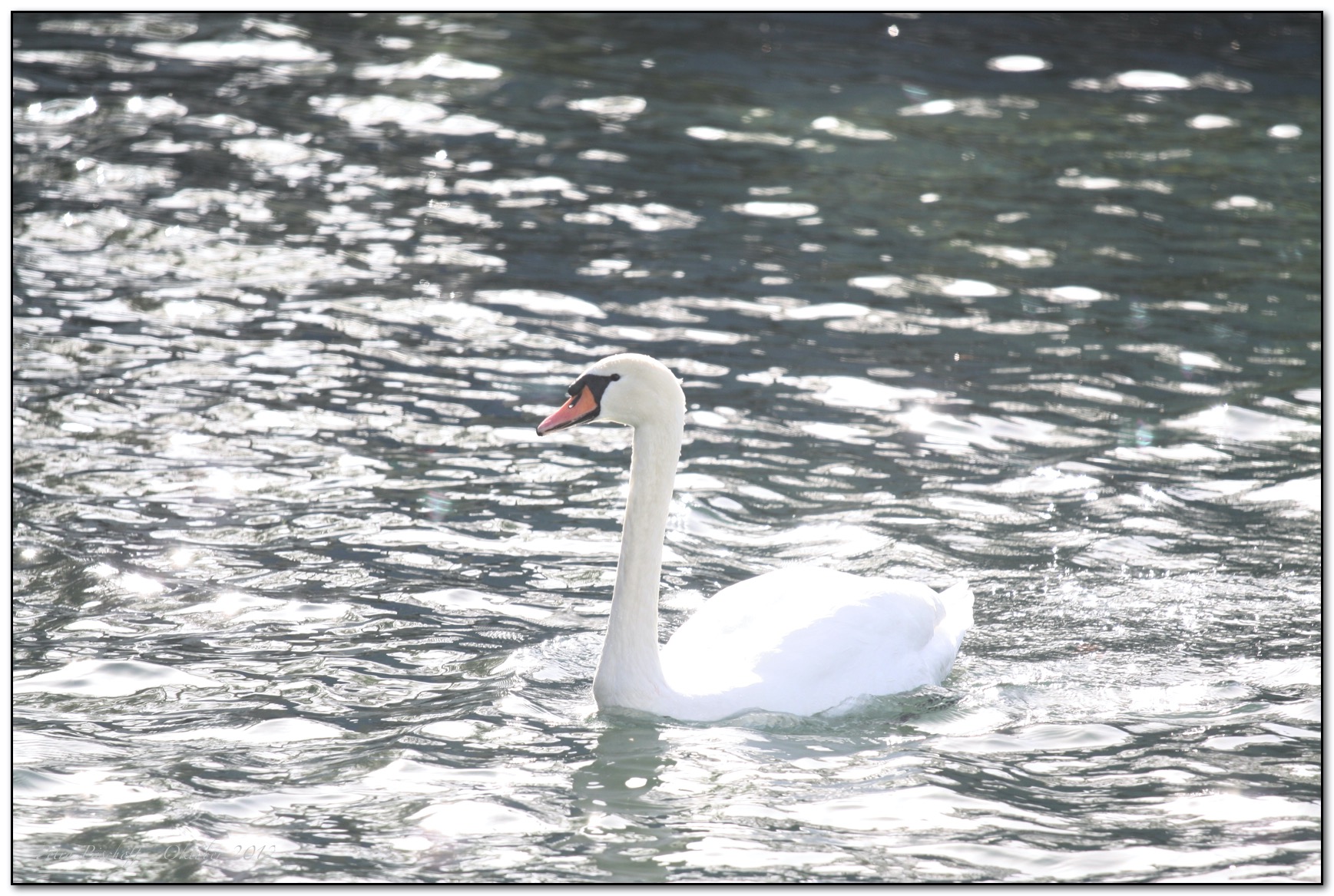 &copy; Petra Bischoff