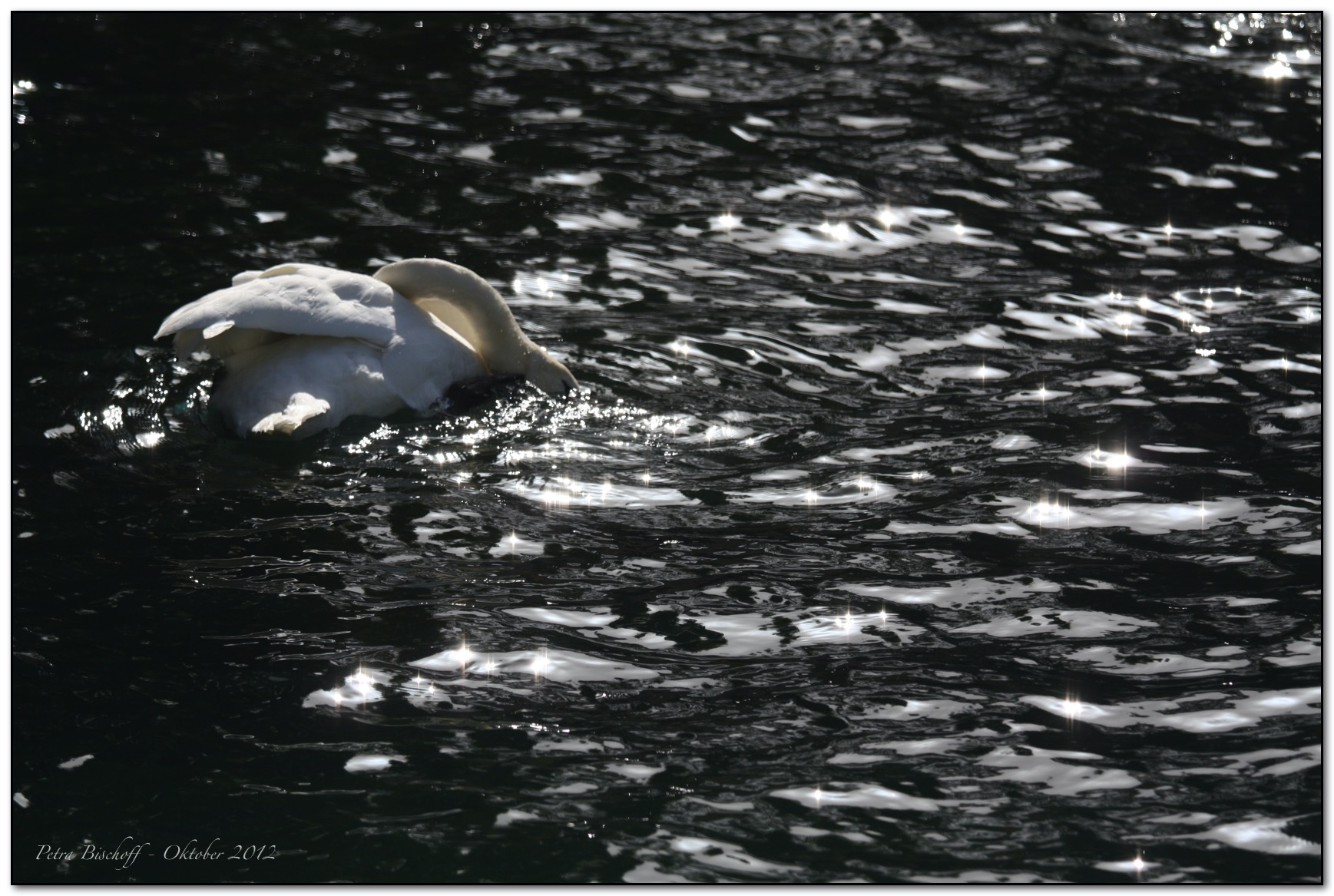 &copy; Petra Bischoff