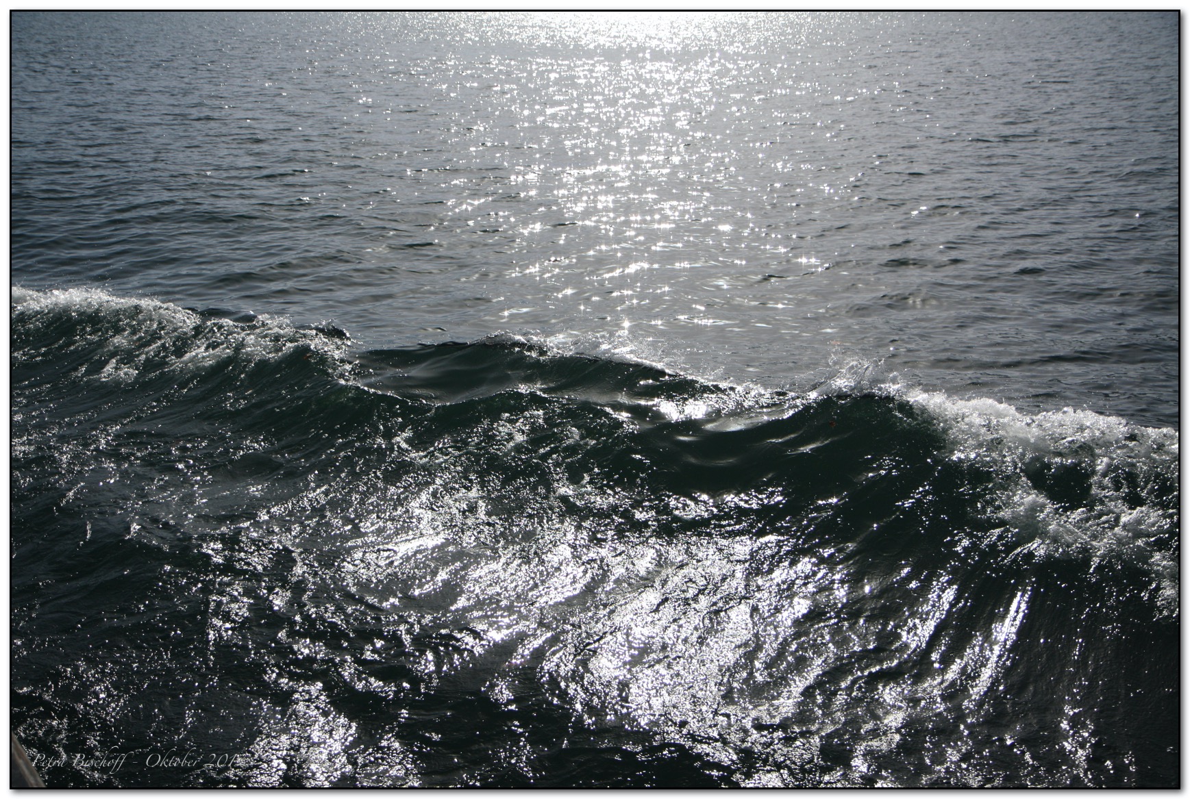 &copy; Petra Bischoff