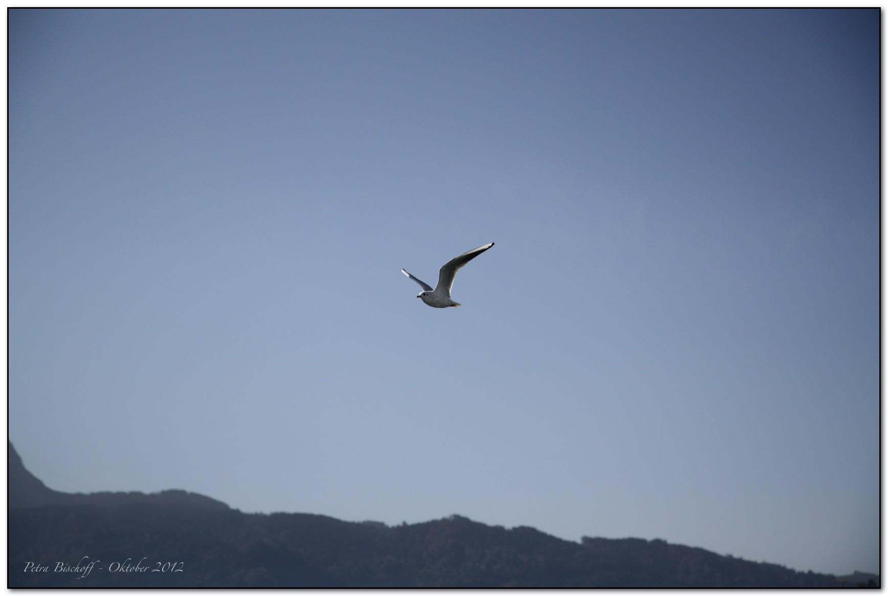 &copy; Petra Bischoff