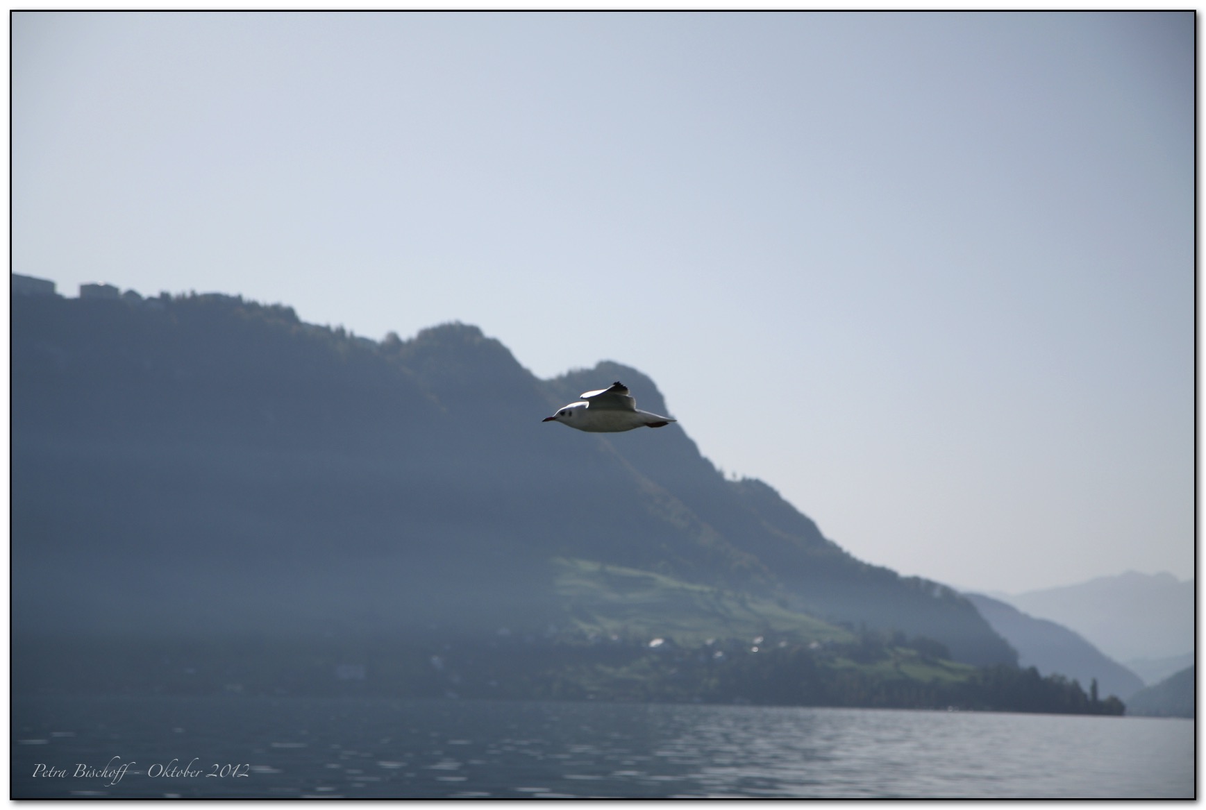 &copy; Petra Bischoff