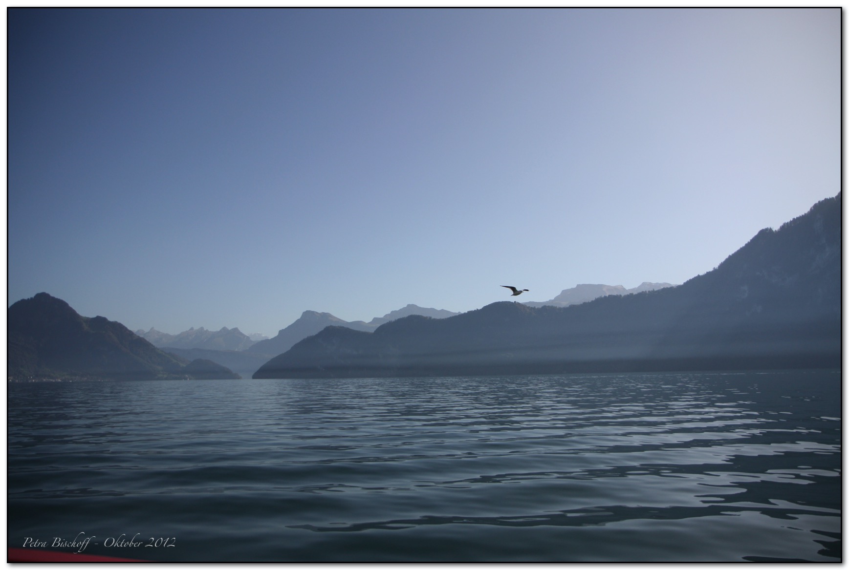 &copy; Petra Bischoff