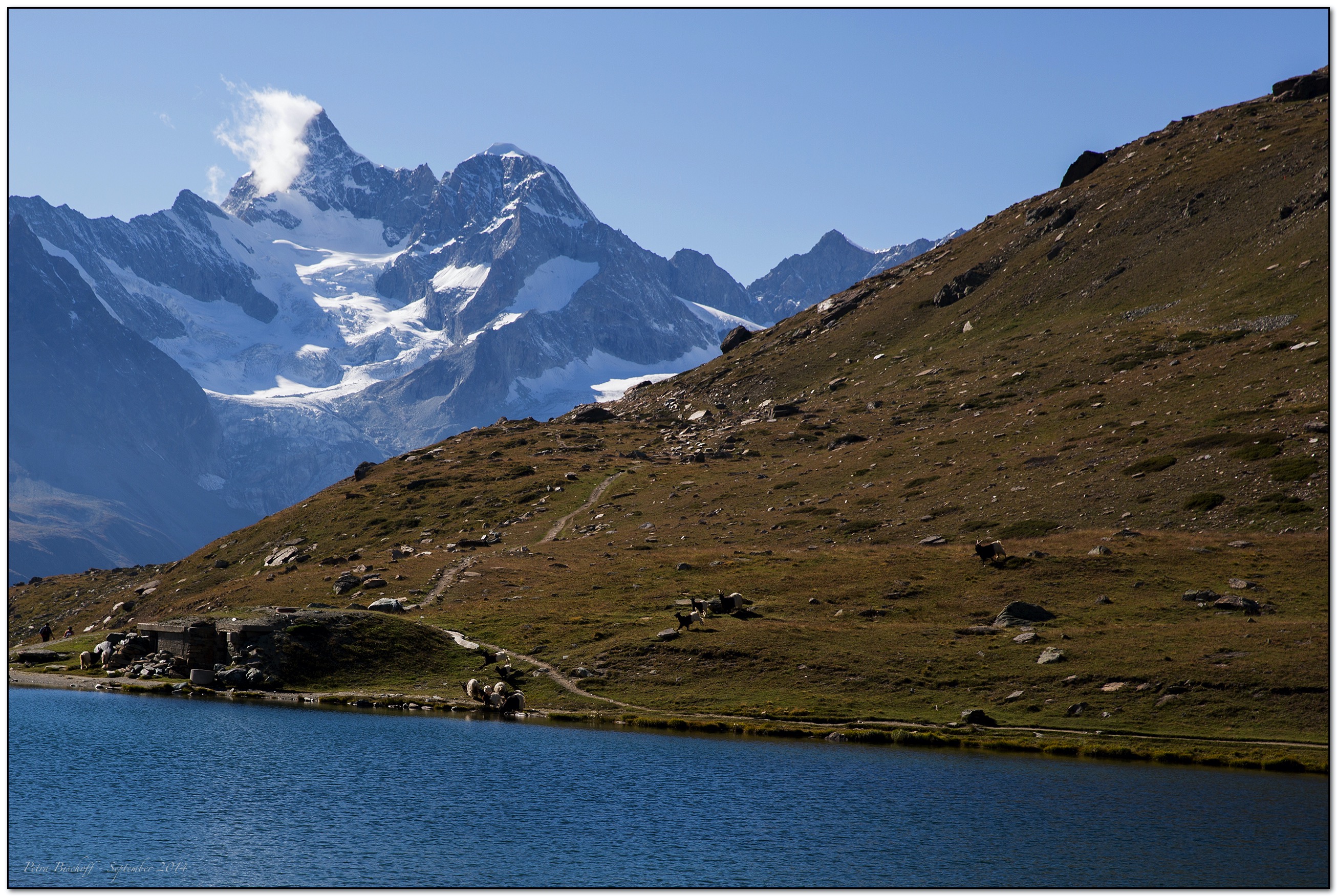 &copy; Petra Bischoff