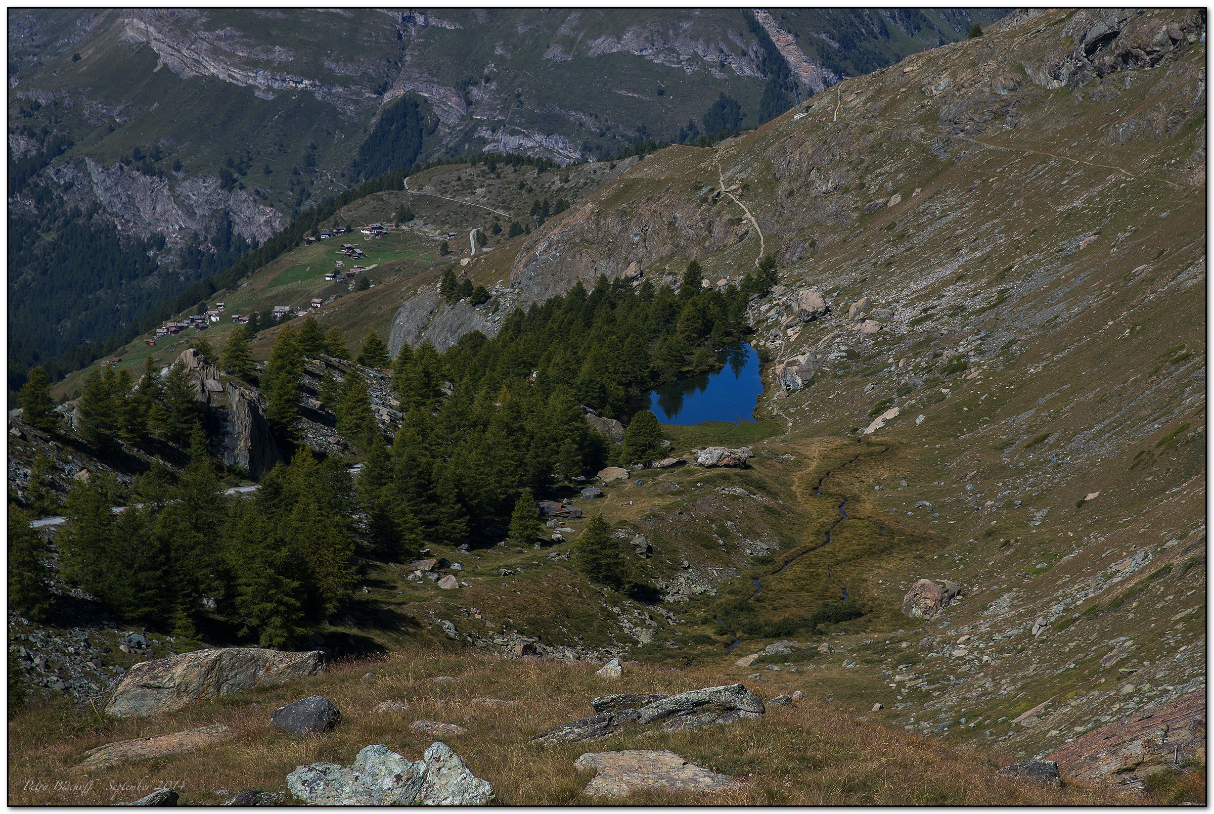 &copy; Petra Bischoff