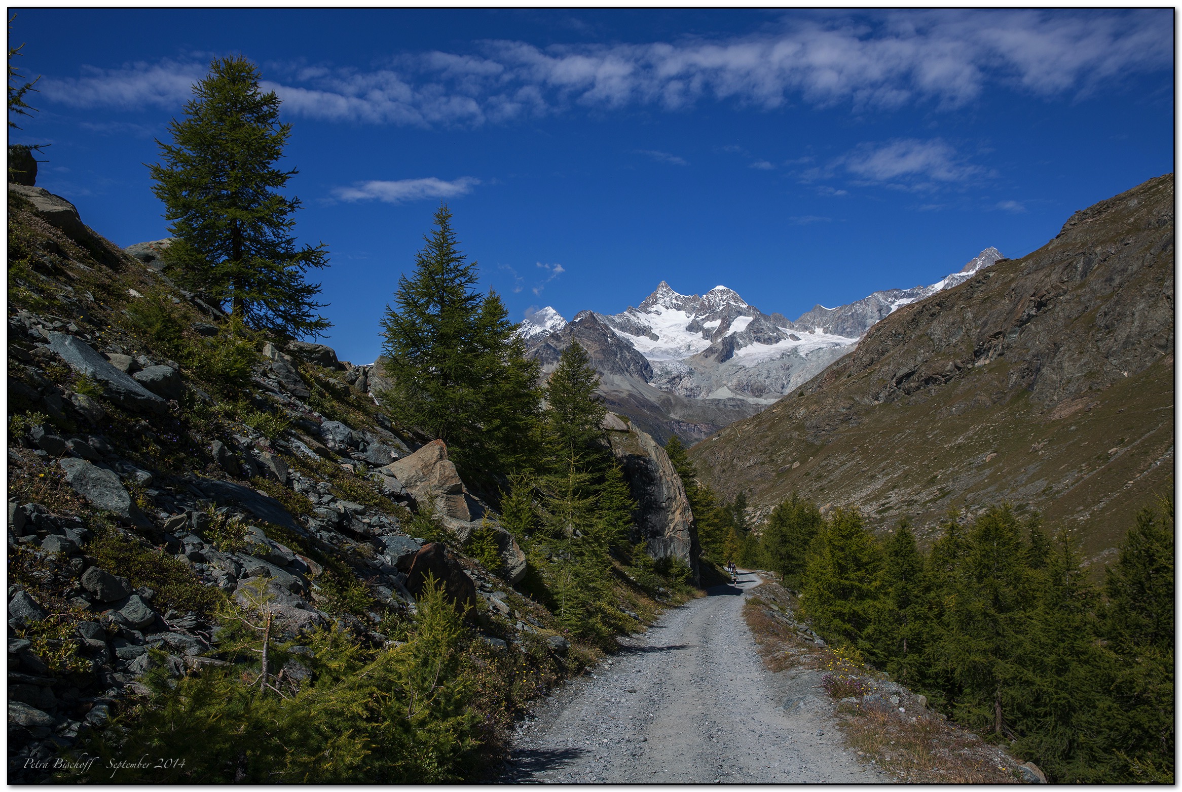 &copy; Petra Bischoff