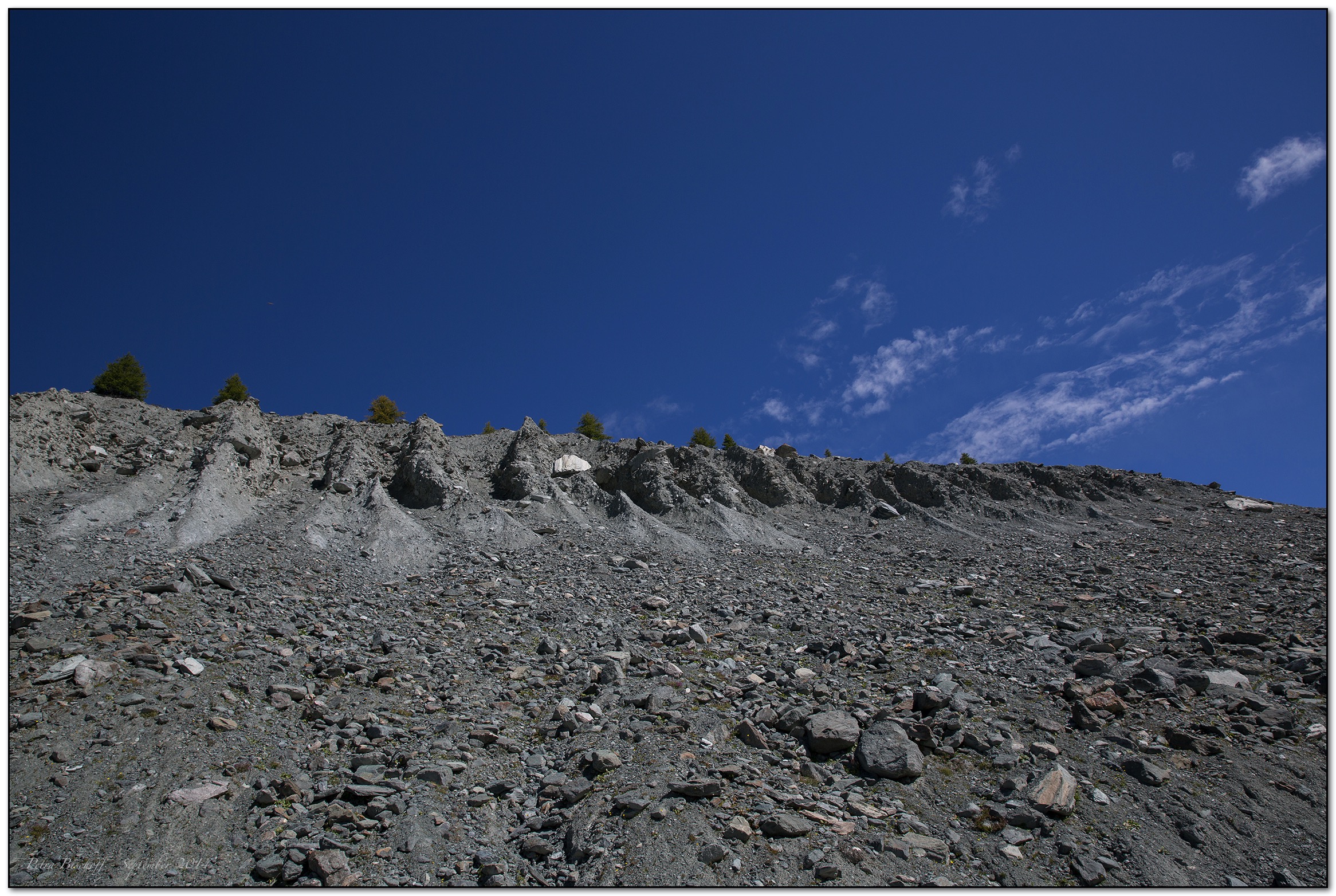 &copy; Petra Bischoff