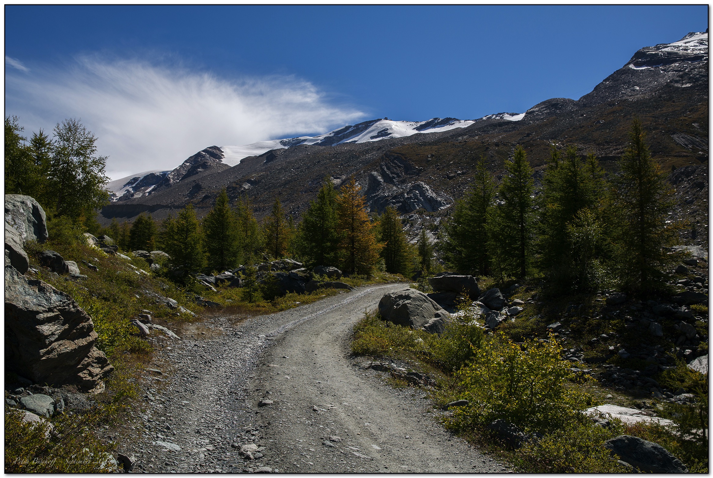 &copy; Petra Bischoff