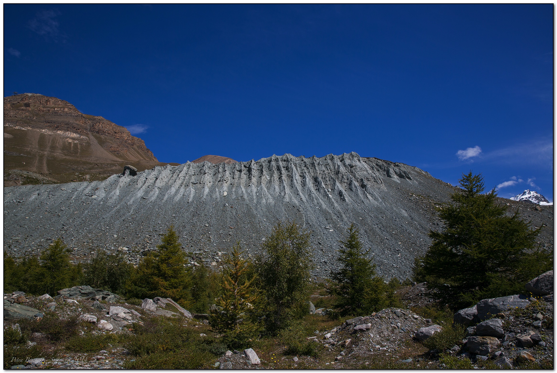 &copy; Petra Bischoff