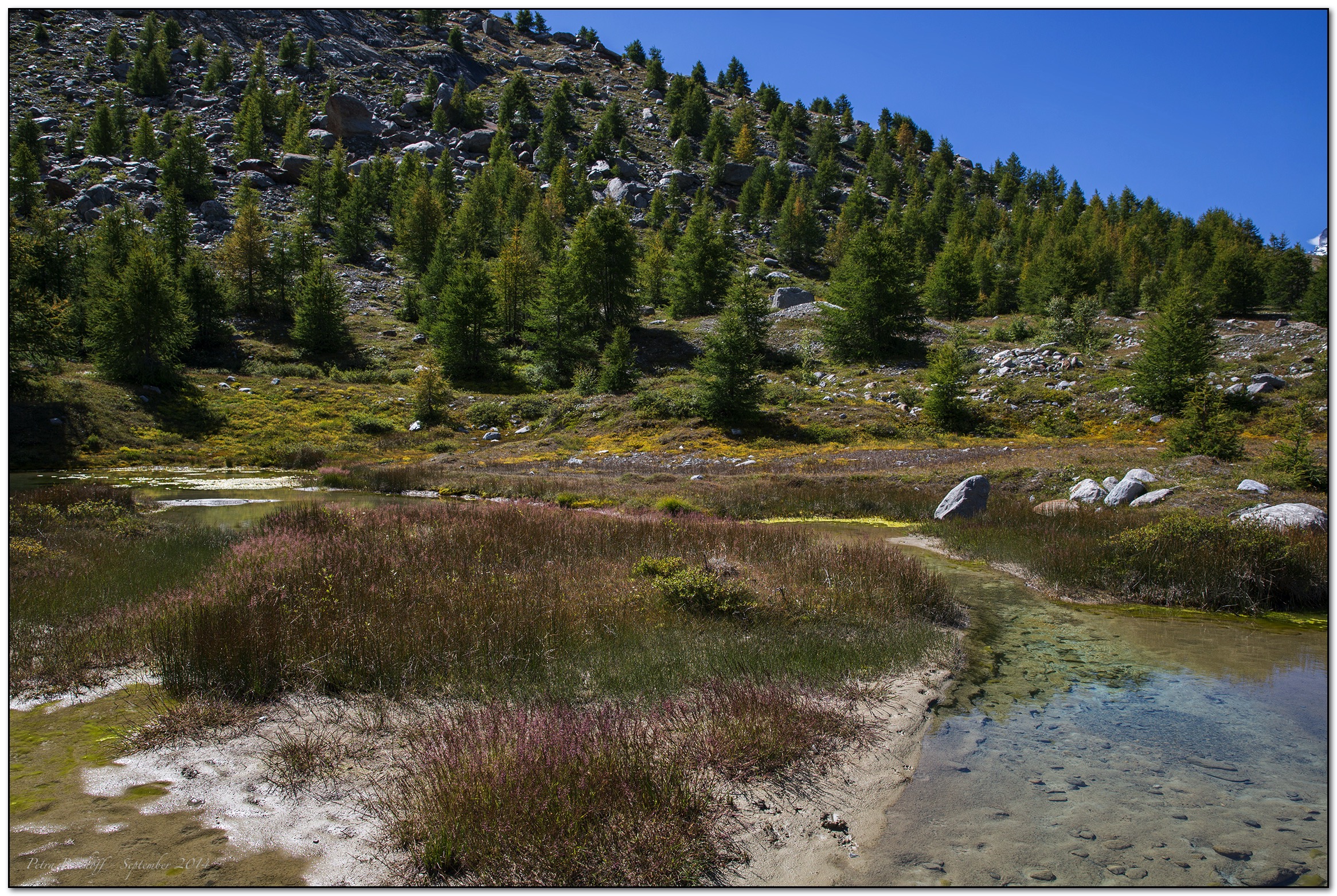 &copy; Petra Bischoff