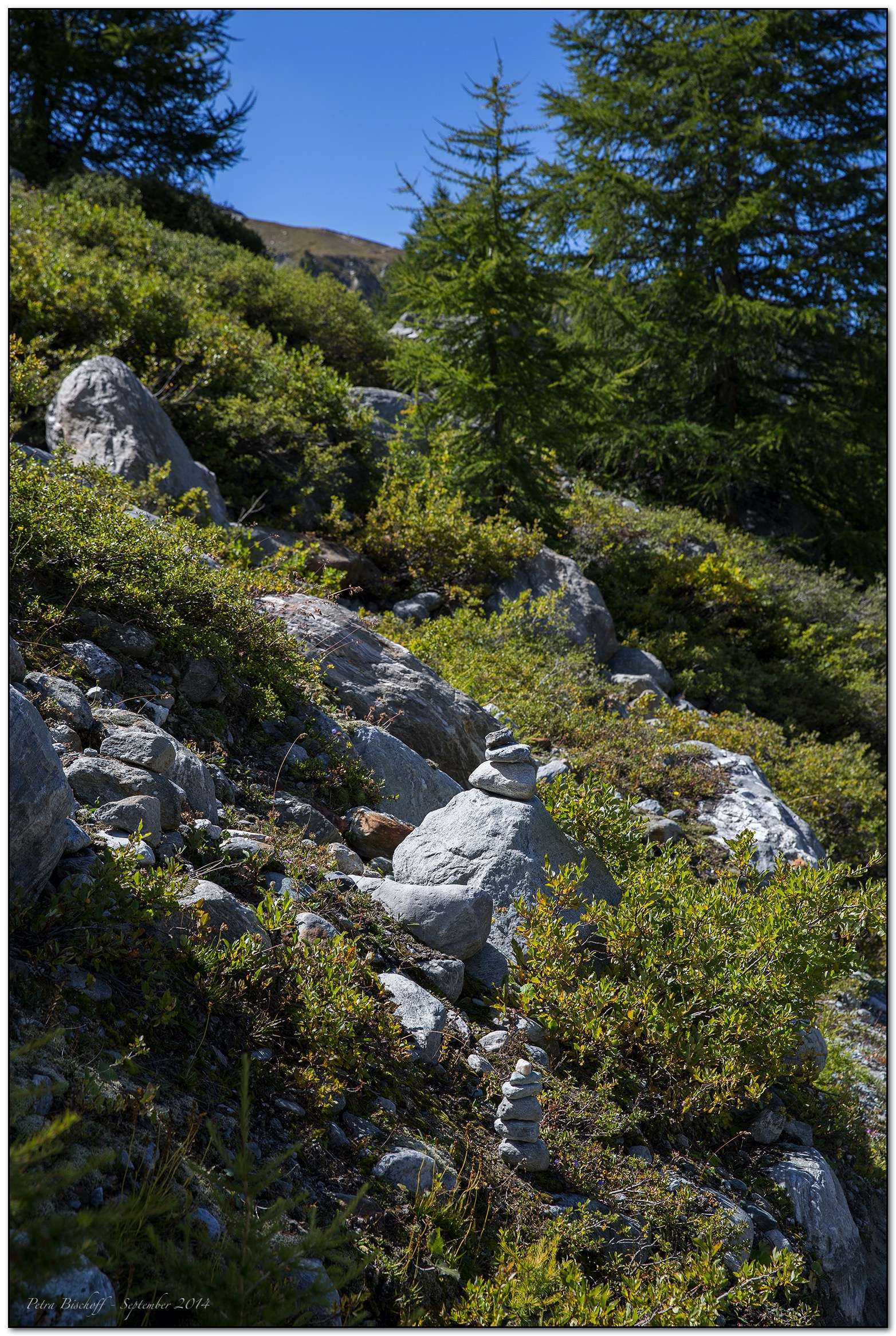 &copy; Petra Bischoff