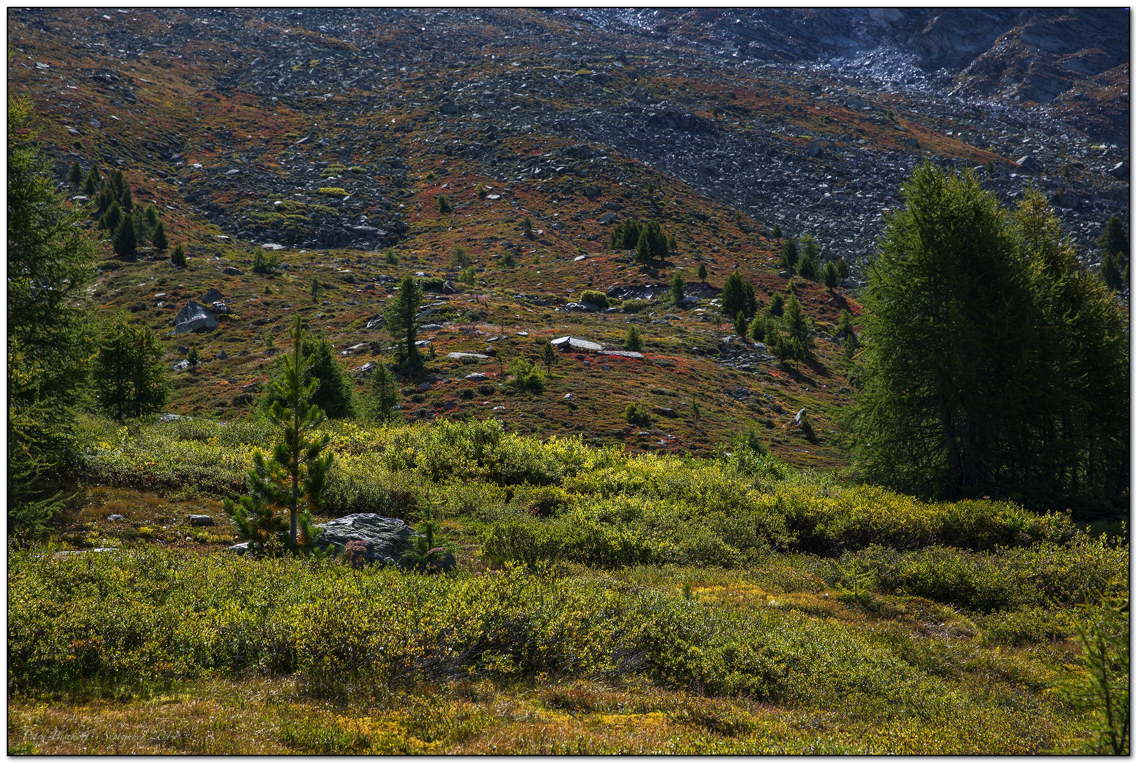 &copy; Petra Bischoff