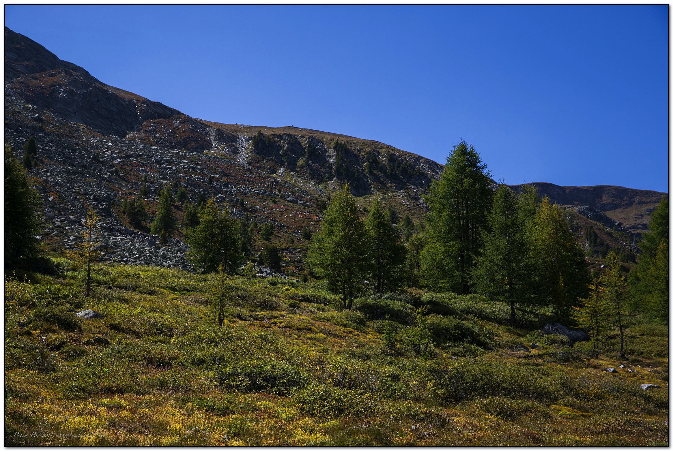 &copy; Petra Bischoff