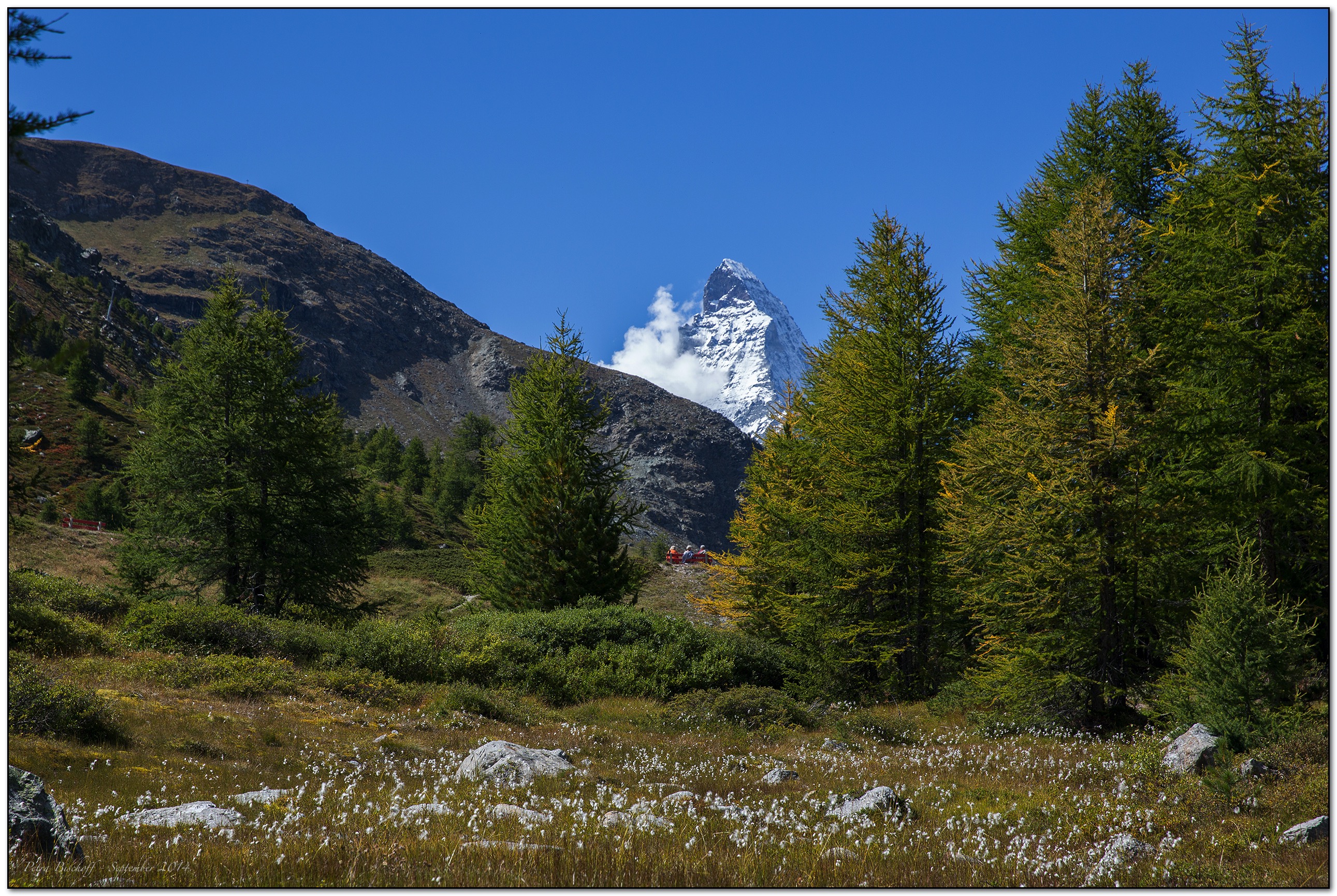 &copy; Petra Bischoff