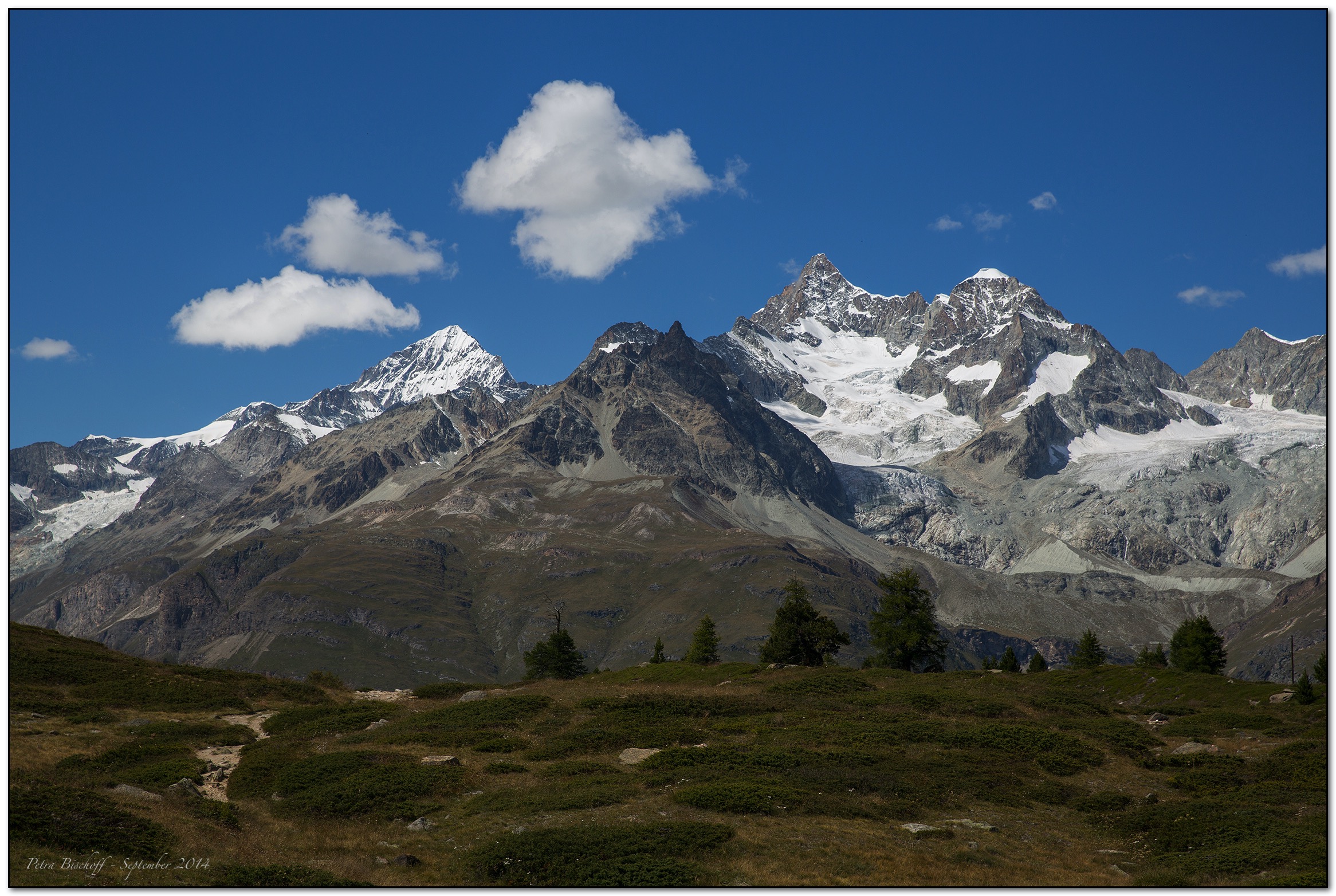 &copy; Petra Bischoff