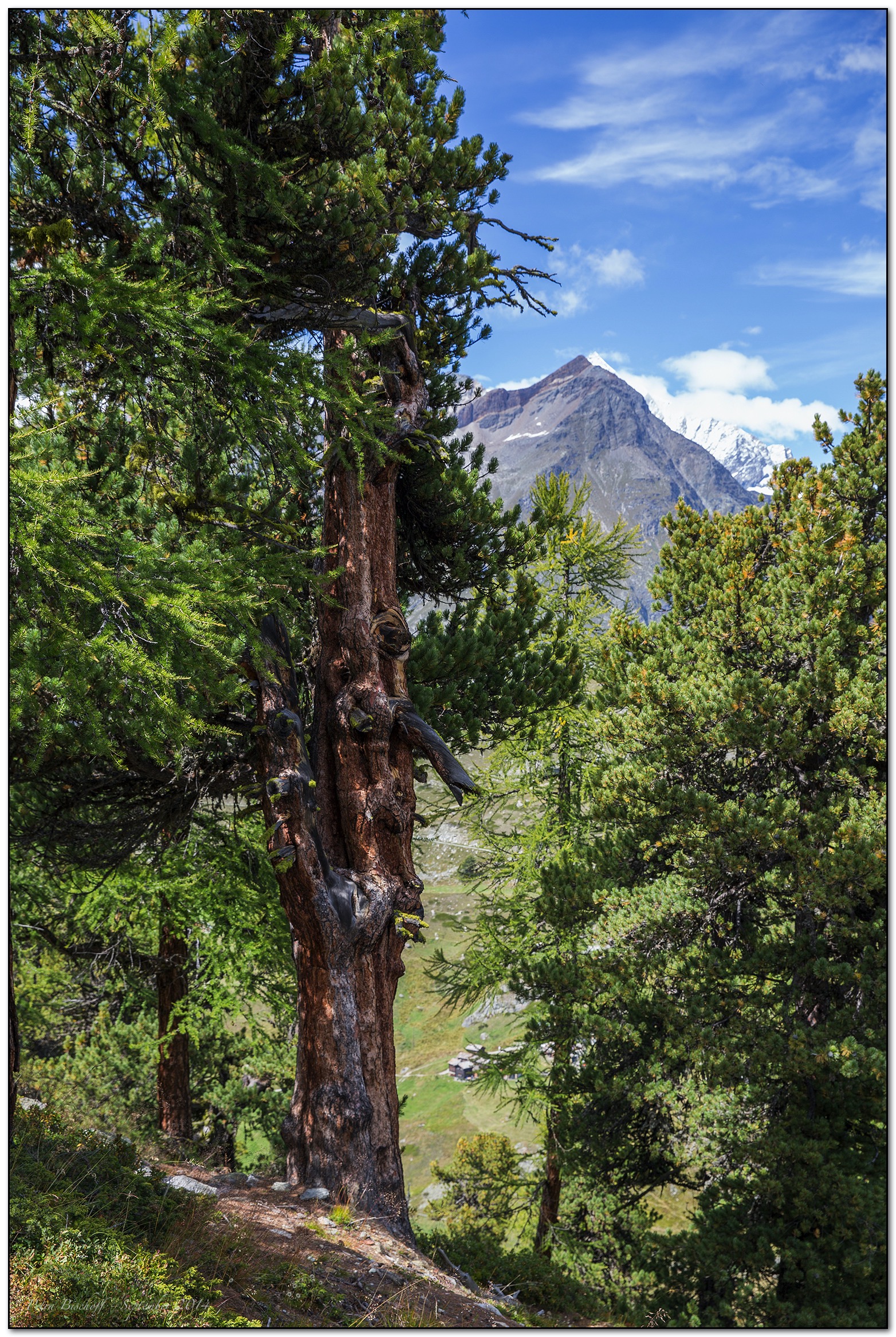 &copy; Petra Bischoff