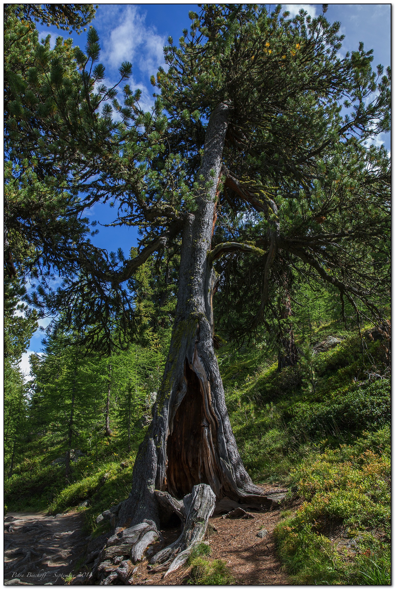 &copy; Petra Bischoff