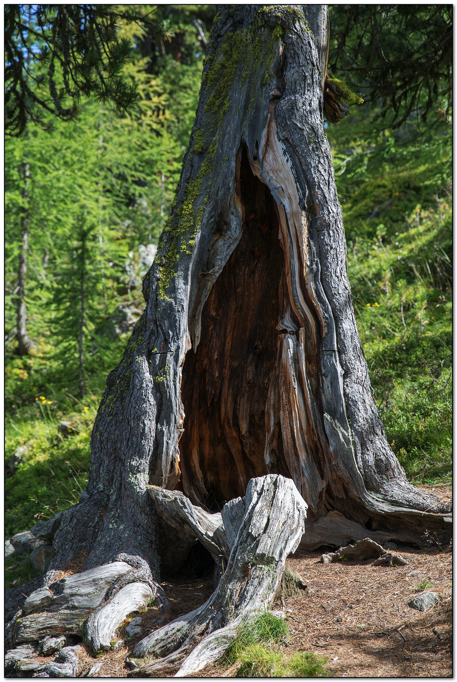 &copy; Petra Bischoff