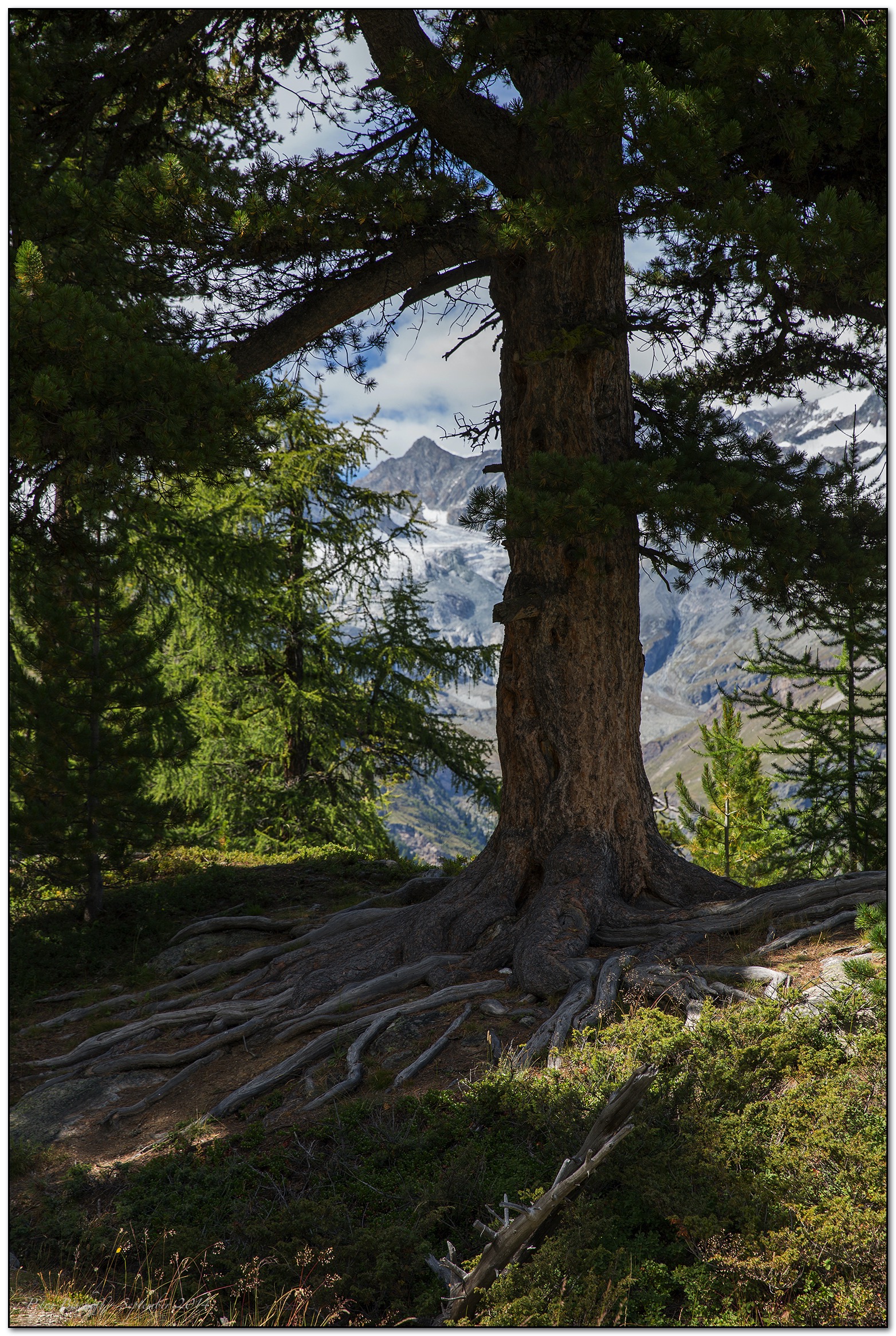 &copy; Petra Bischoff