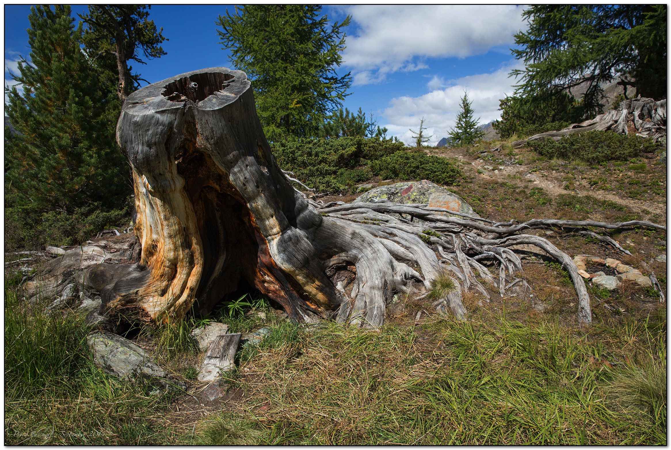 &copy; Petra Bischoff