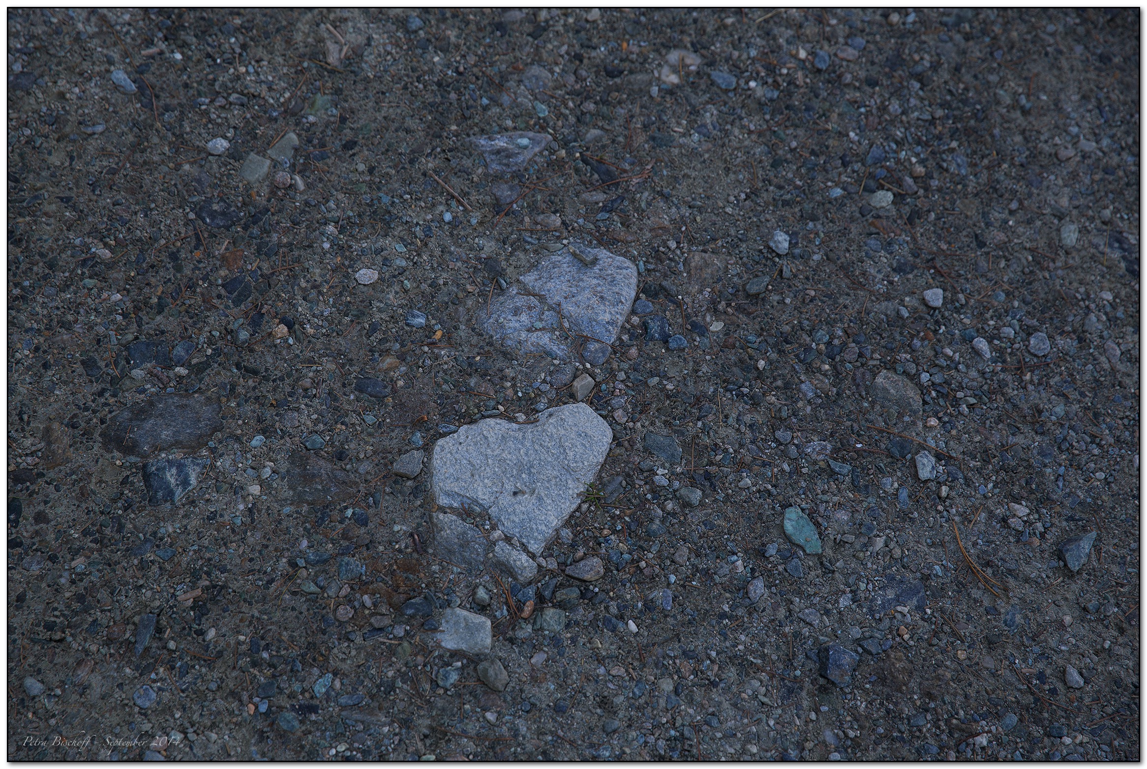 &copy; Petra Bischoff