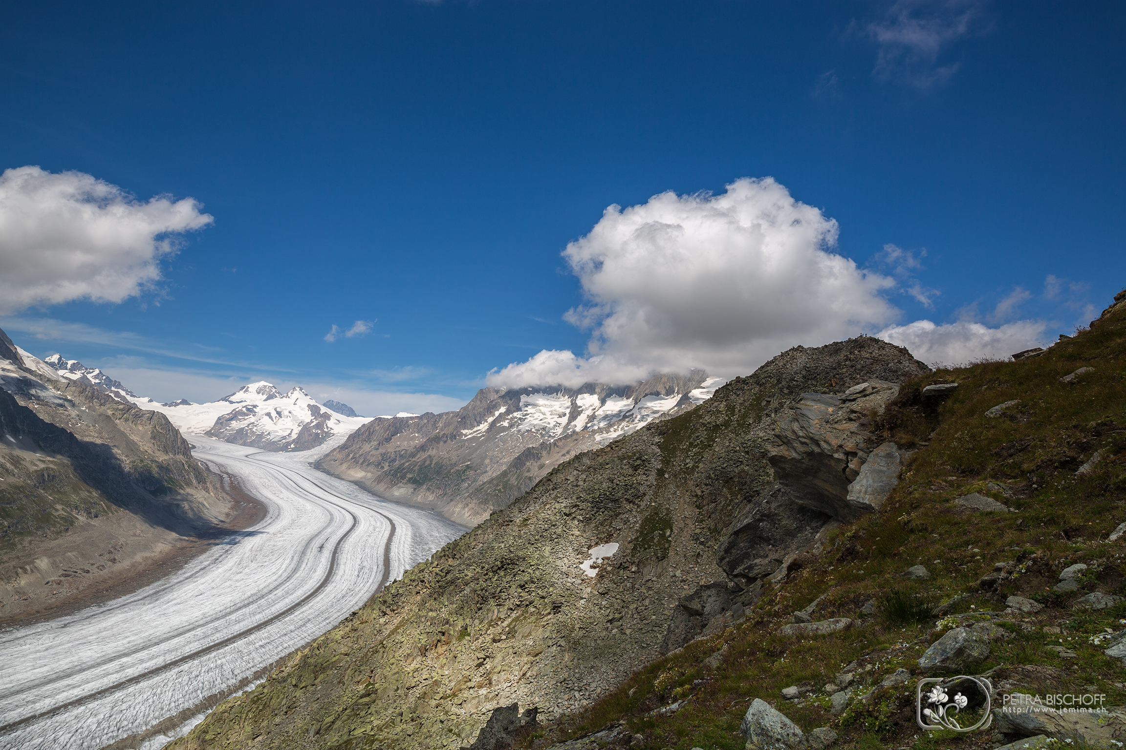 &copy; Petra Bischoff