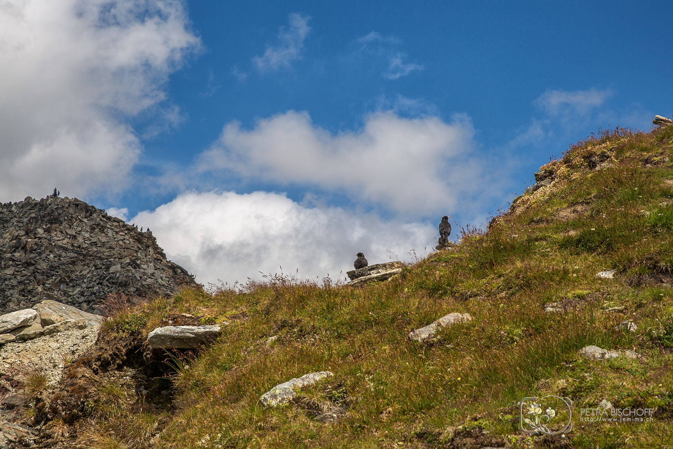 &copy; Petra Bischoff