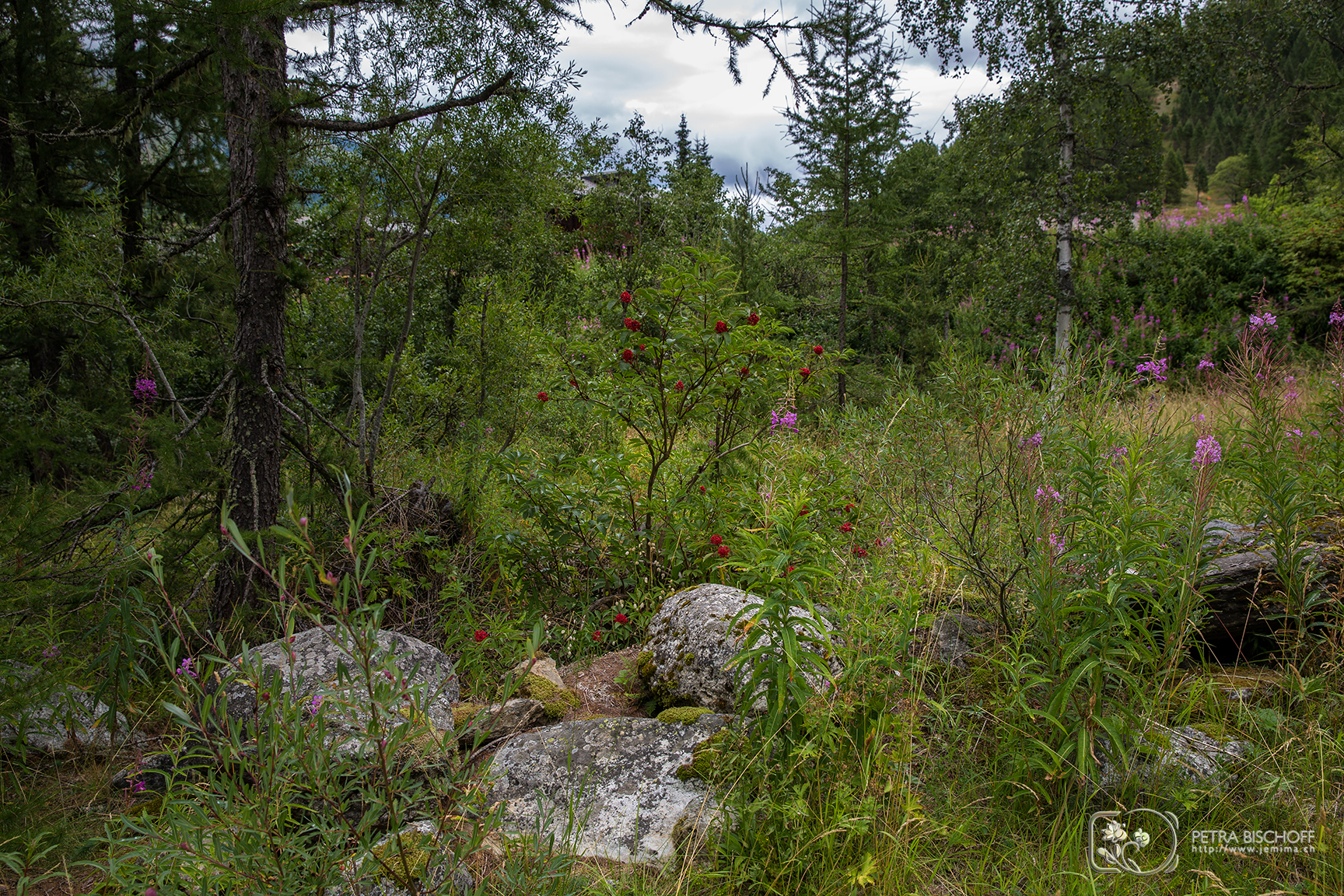 &copy; Petra Bischoff