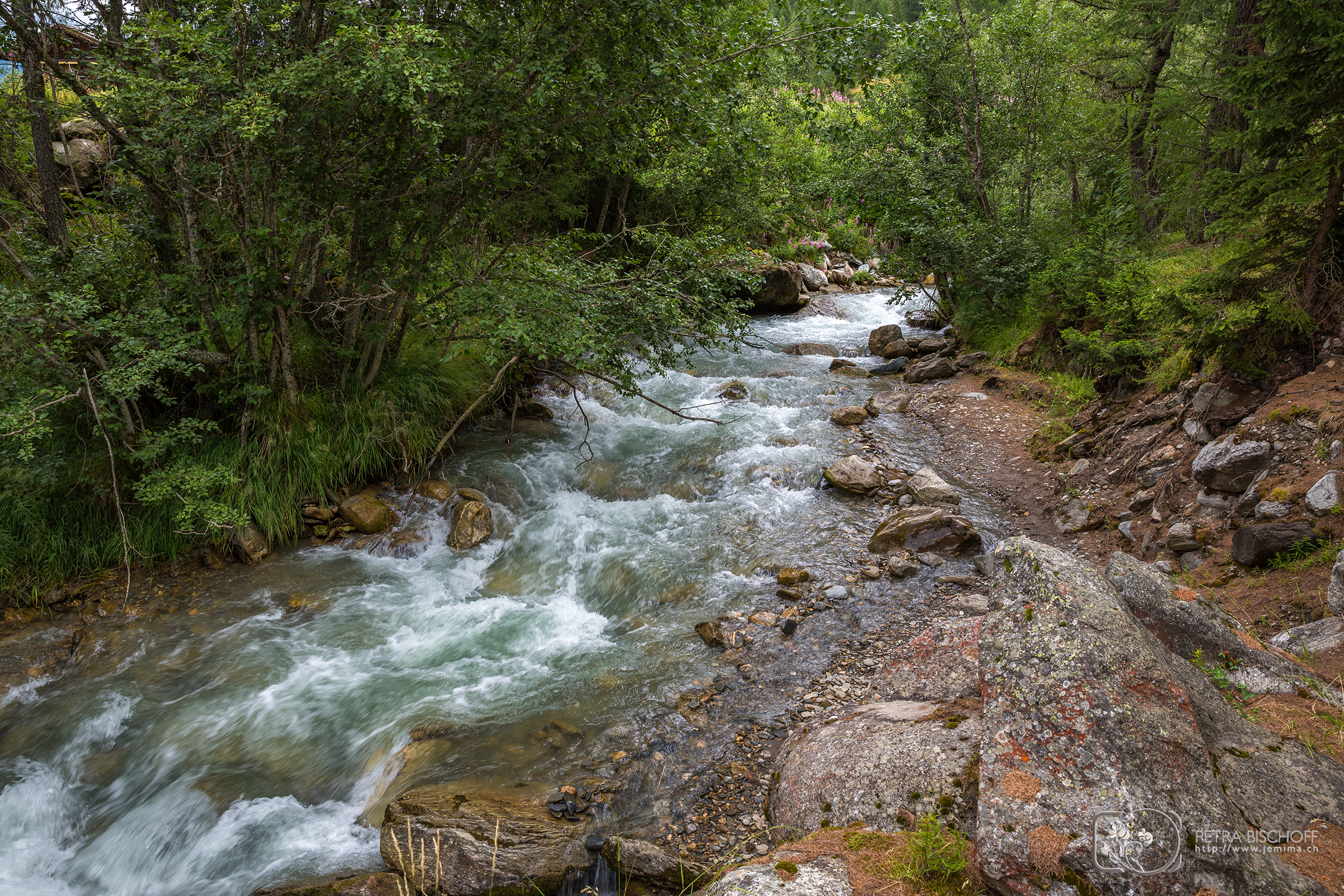 &copy; Petra Bischoff