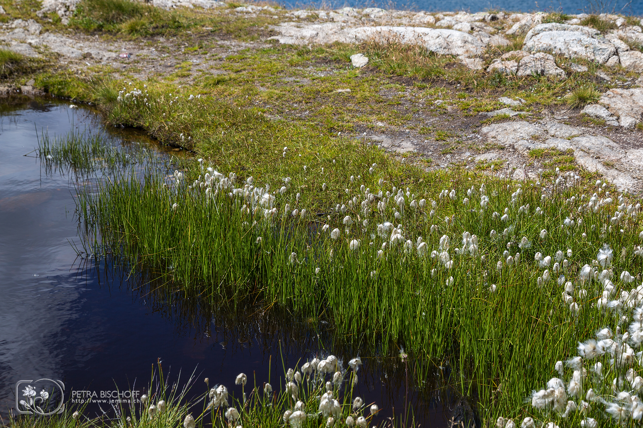 &copy; Petra Bischoff