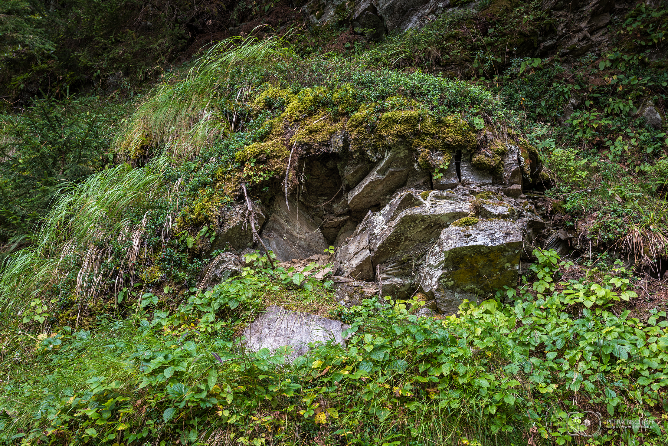 &copy; Petra Bischoff