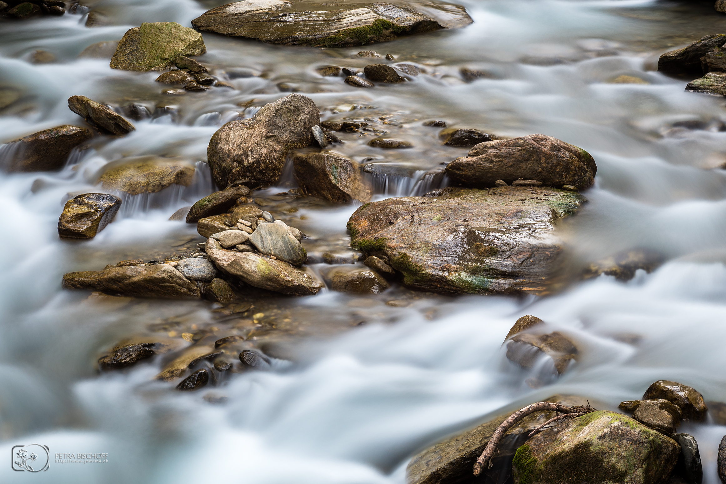 &copy; Petra Bischoff