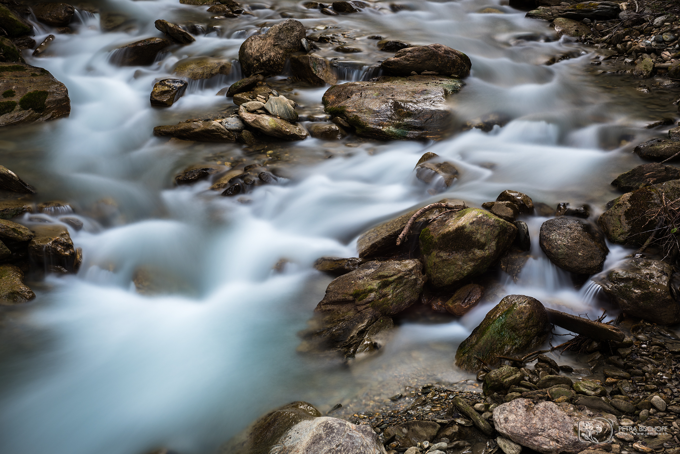 &copy; Petra Bischoff