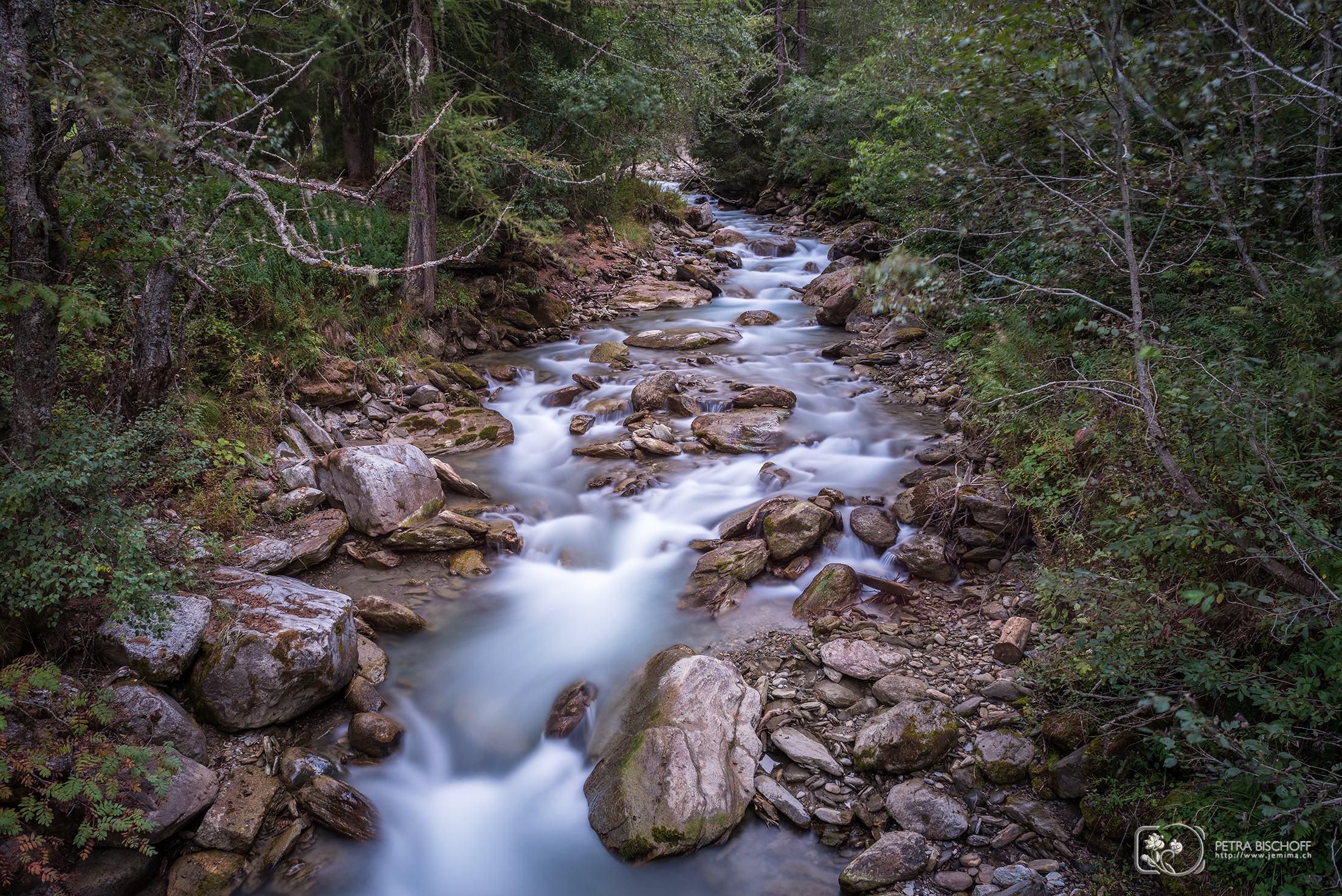 &copy; Petra Bischoff