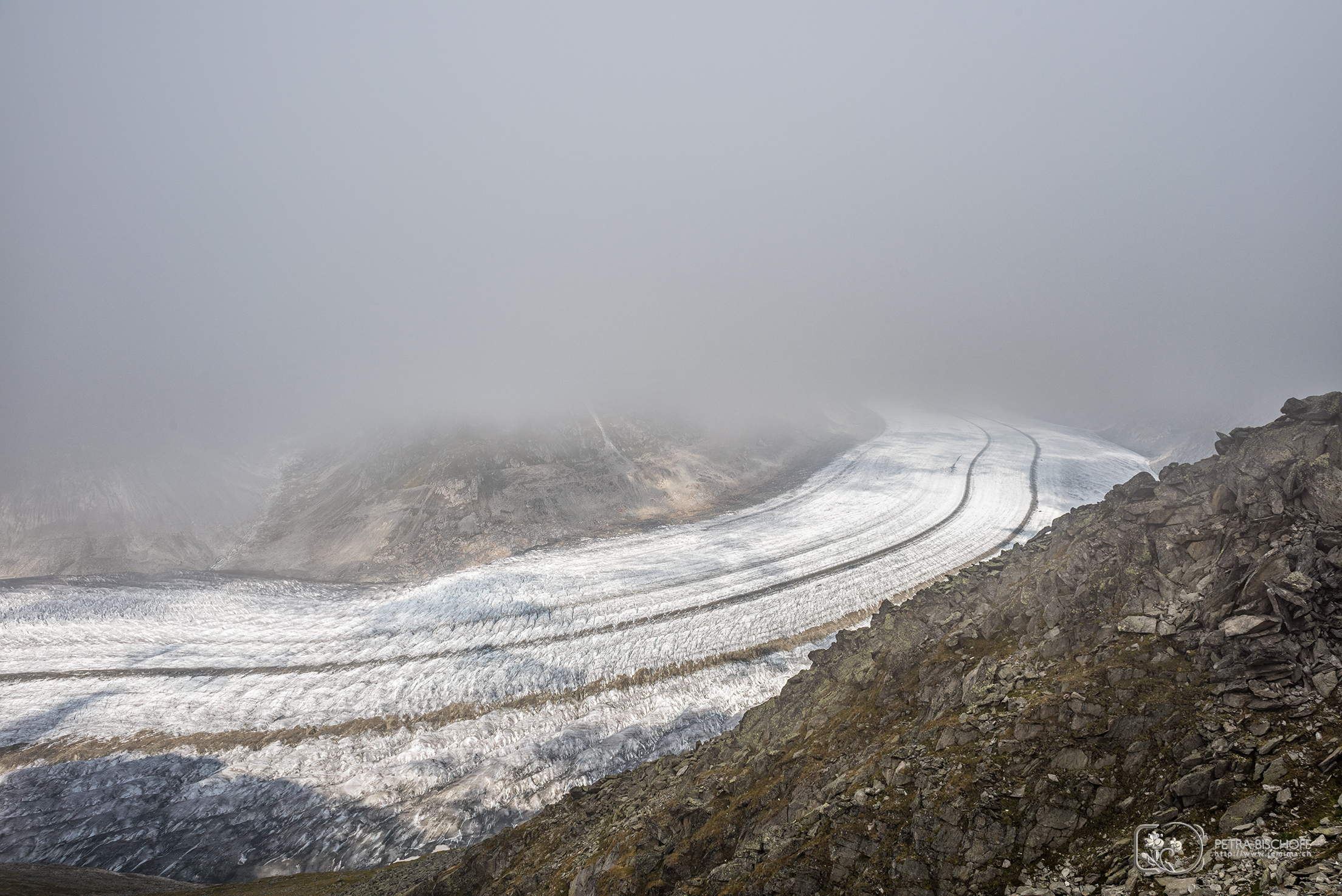 &copy; Petra Bischoff